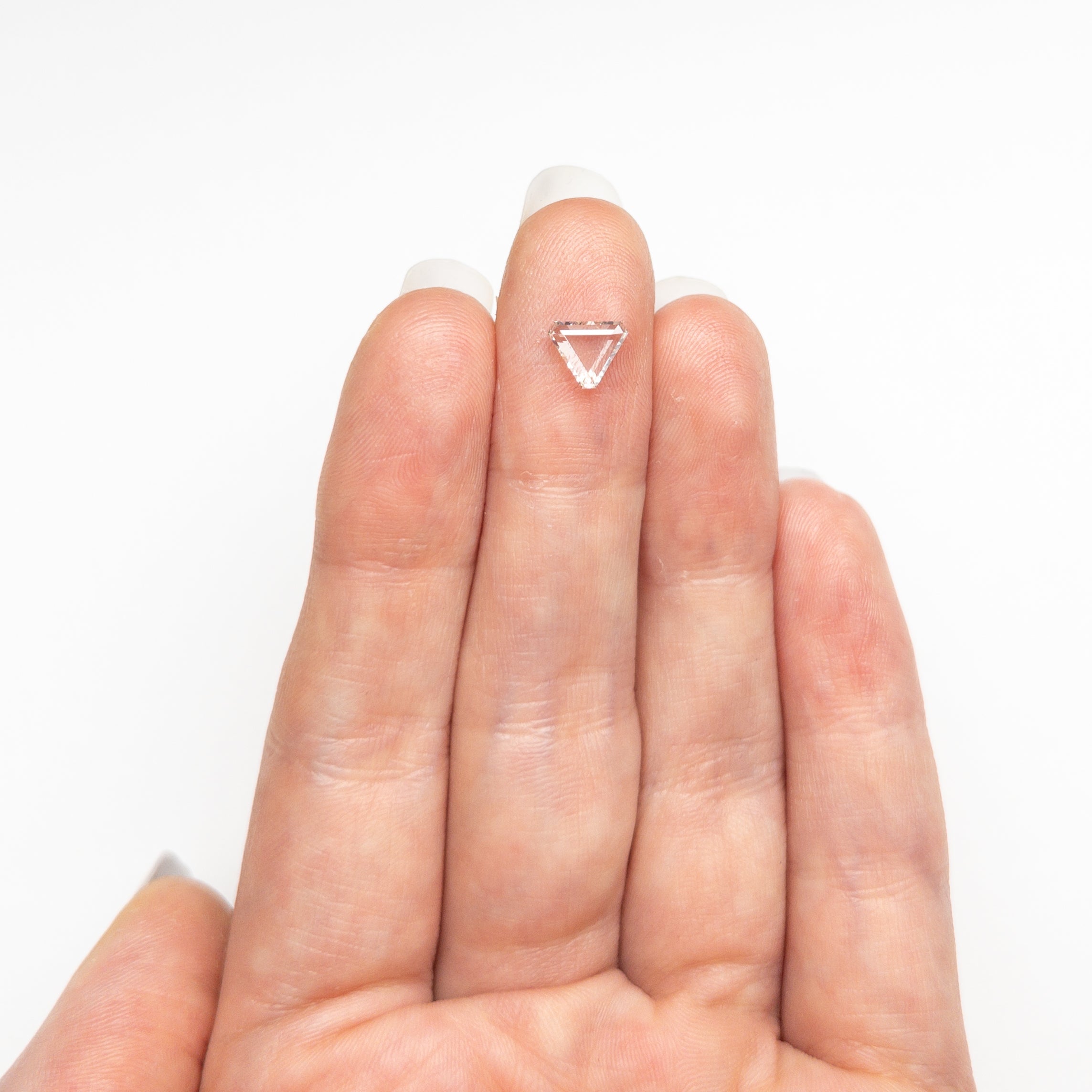 0.69ct 5.67x6.35x2.04mm Cut Corner Triangle Portrait Cut 20027-14-Staghead Designs