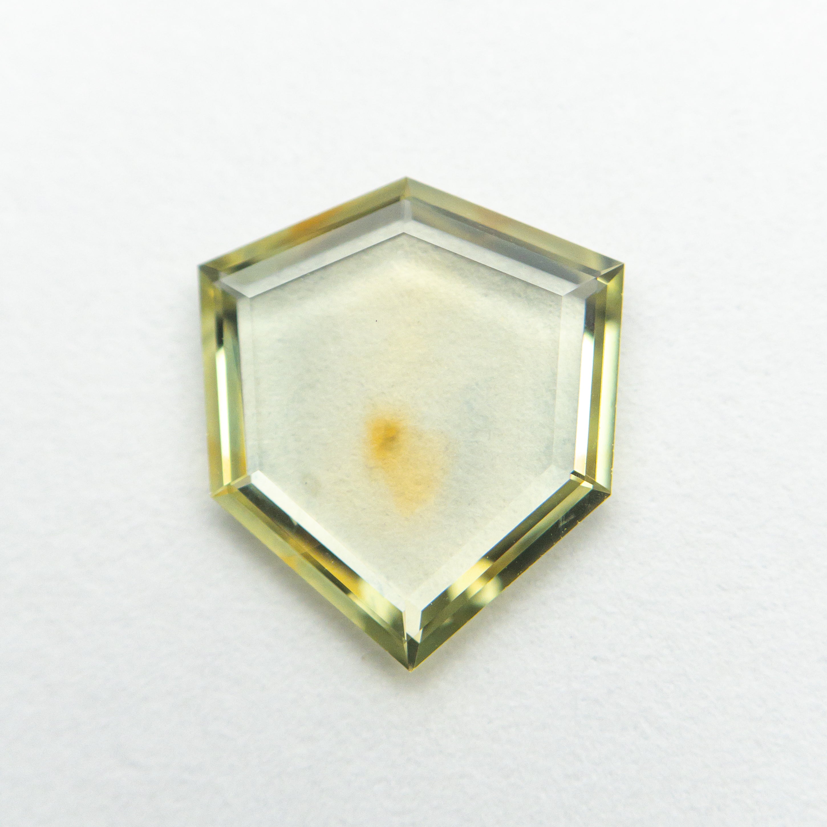 1.23ct 9.40x8.13x1.43mm Shield Portrait Cut Sapphire 20882-01-Staghead Designs