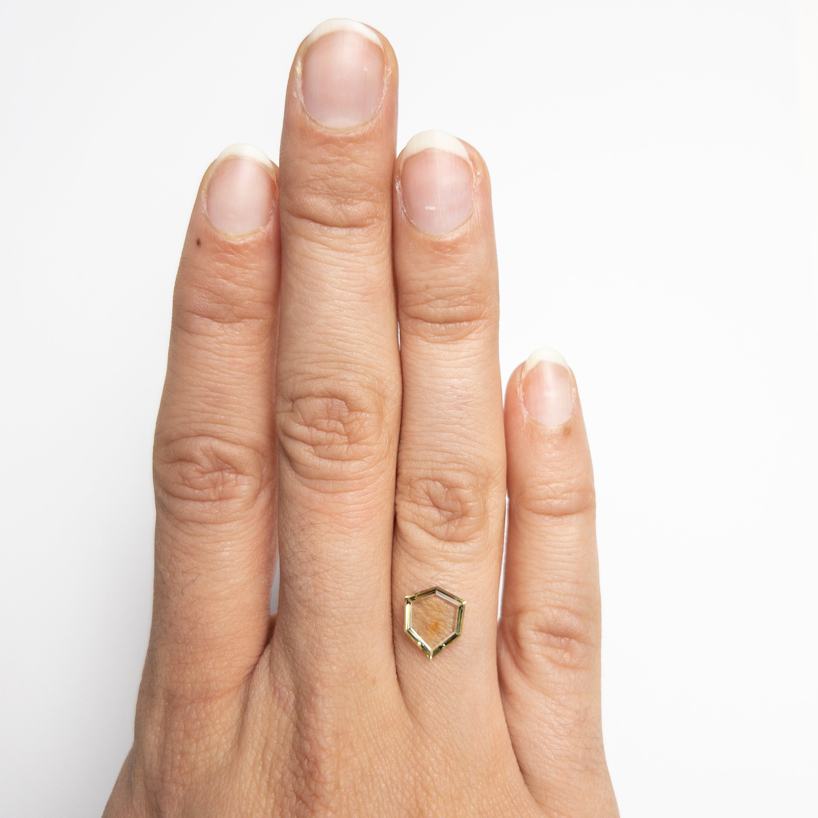 1.23ct 9.40x8.13x1.43mm Shield Portrait Cut Sapphire 20882-01-Staghead Designs