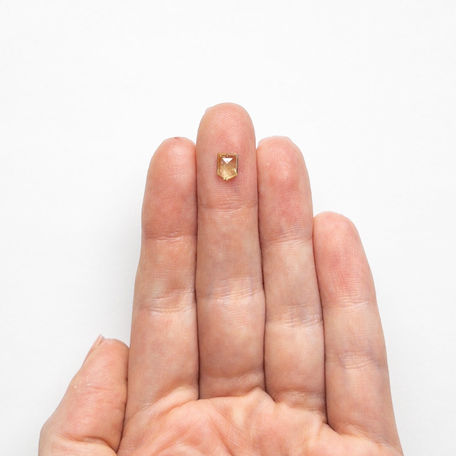 0.85ct 6.31x4.87x2.54mm Shield Rosecut Sapphire 22434-115-Staghead Designs