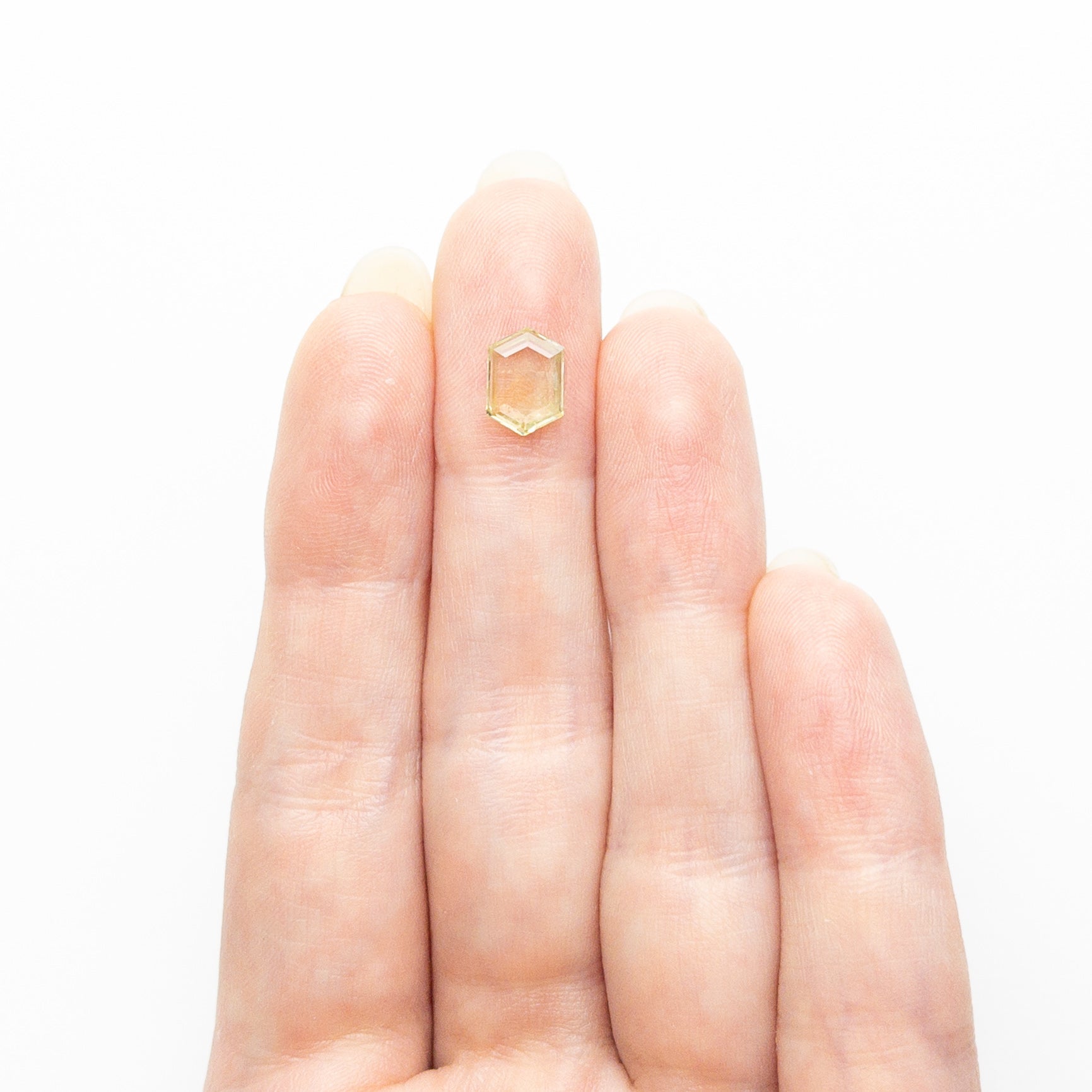 1.47ct 8.55x6.07x2.35mm Hexagon Portrait Cut 22434-133-Staghead Designs