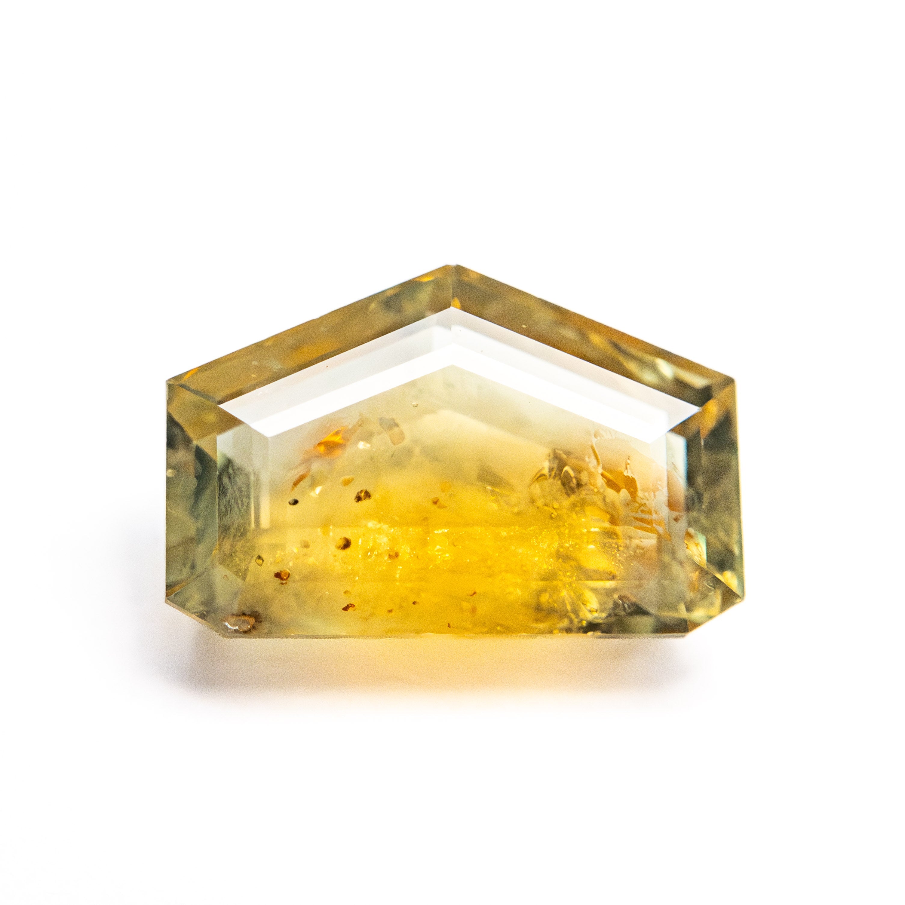 3.41ct 6.90x10.49x4.05mm Shield Portrait Cut Sapphire 22434-143-Staghead Designs