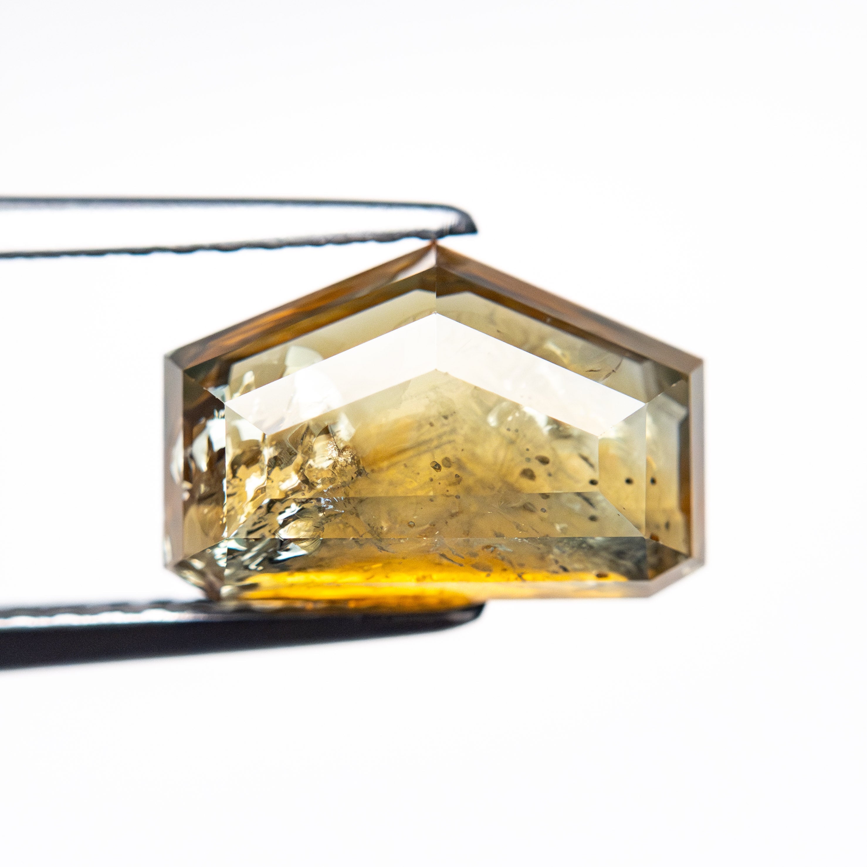 3.41ct 6.90x10.49x4.05mm Shield Portrait Cut Sapphire 22434-143-Staghead Designs