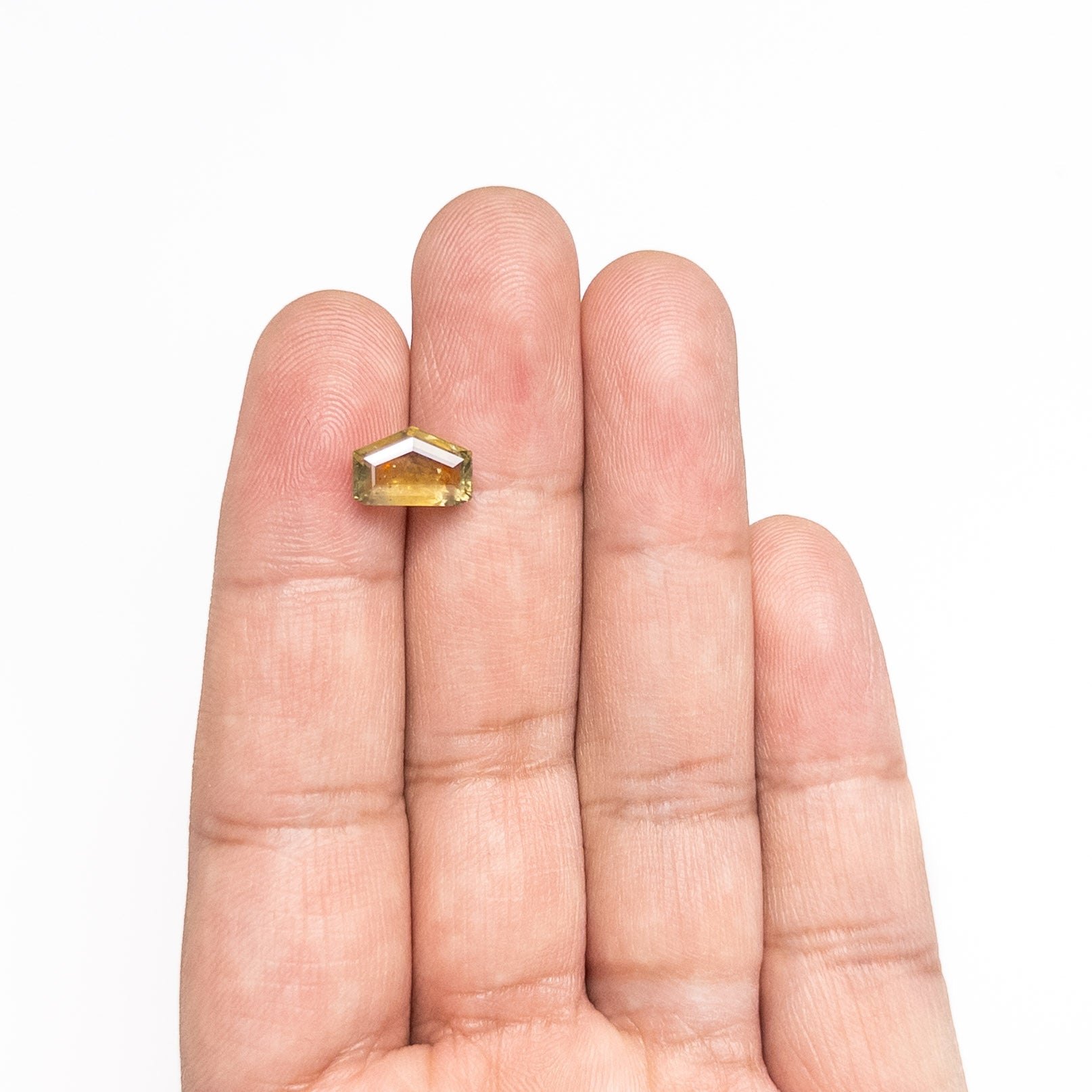 3.41ct 6.90x10.49x4.05mm Shield Portrait Cut Sapphire 22434-143-Staghead Designs