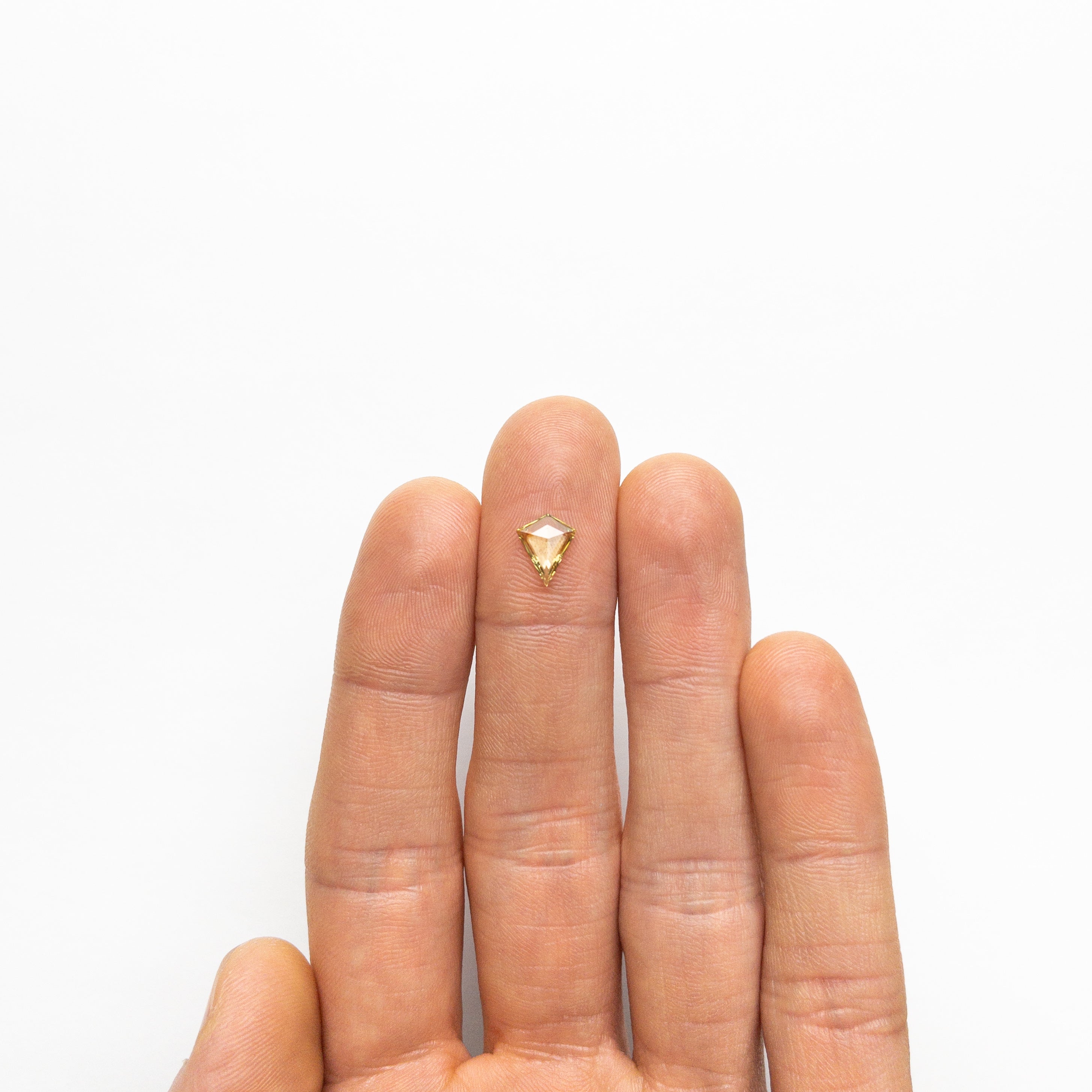 0.86ct 8.84x7.28x2.06mm Kite Rosecut Sapphire 22434-34-Staghead Designs