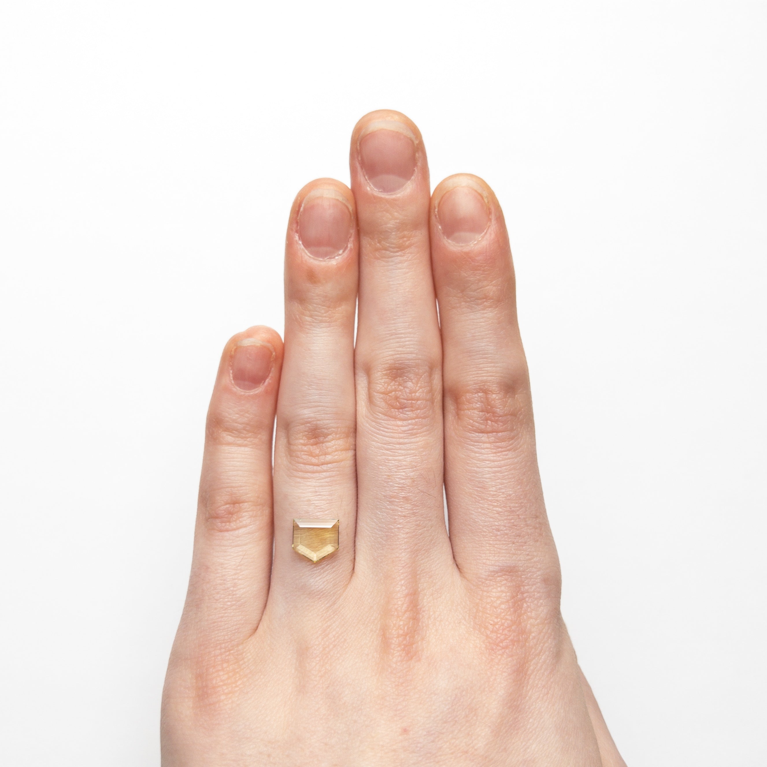 1.46ct 7.85x7.40x1.76mm Shield Portrait Cut Sapphire 22434-82-Staghead Designs