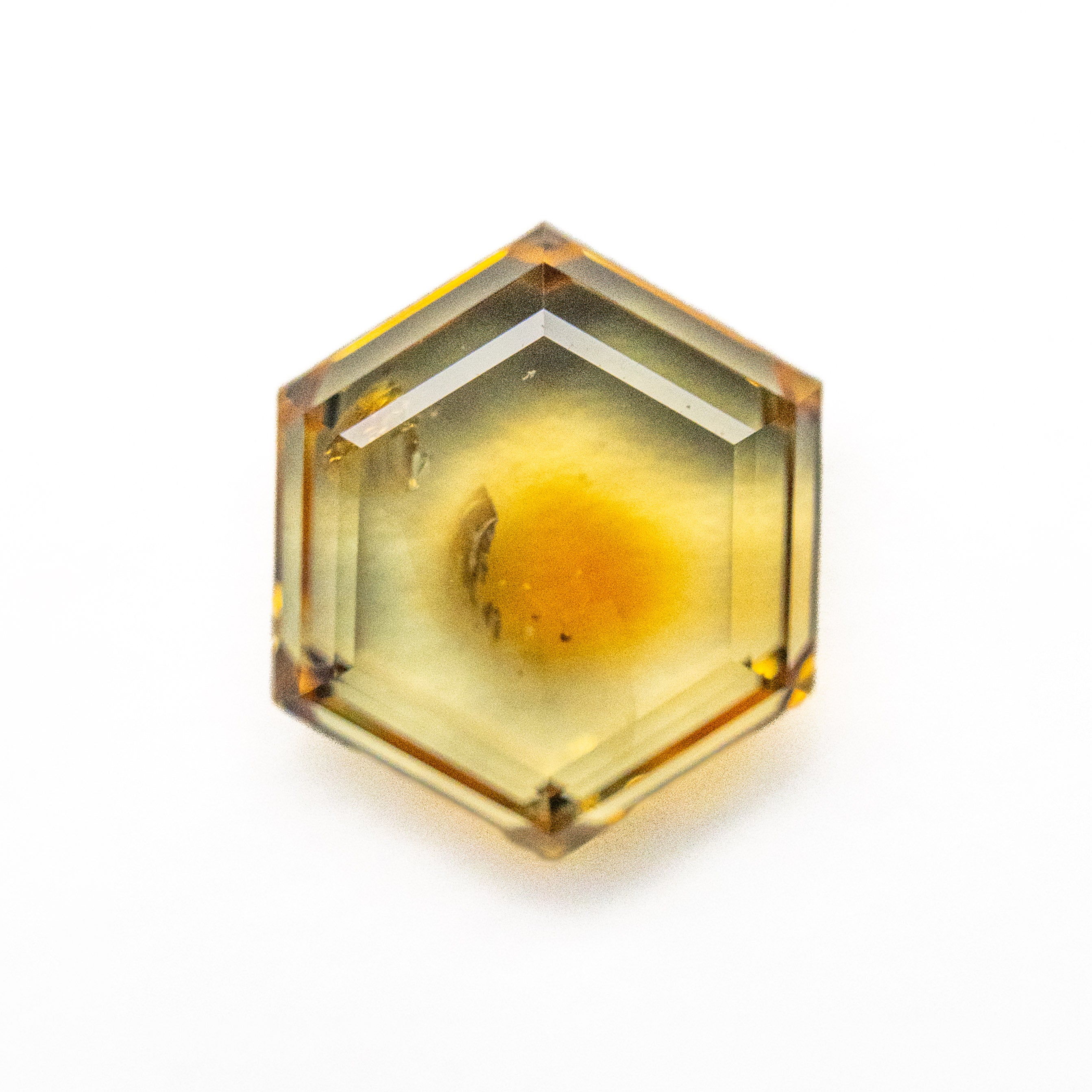 3.37ct 9.94x8.453.43mm Hexagon Portrait Cut Sapphire 23469-35-Staghead Designs