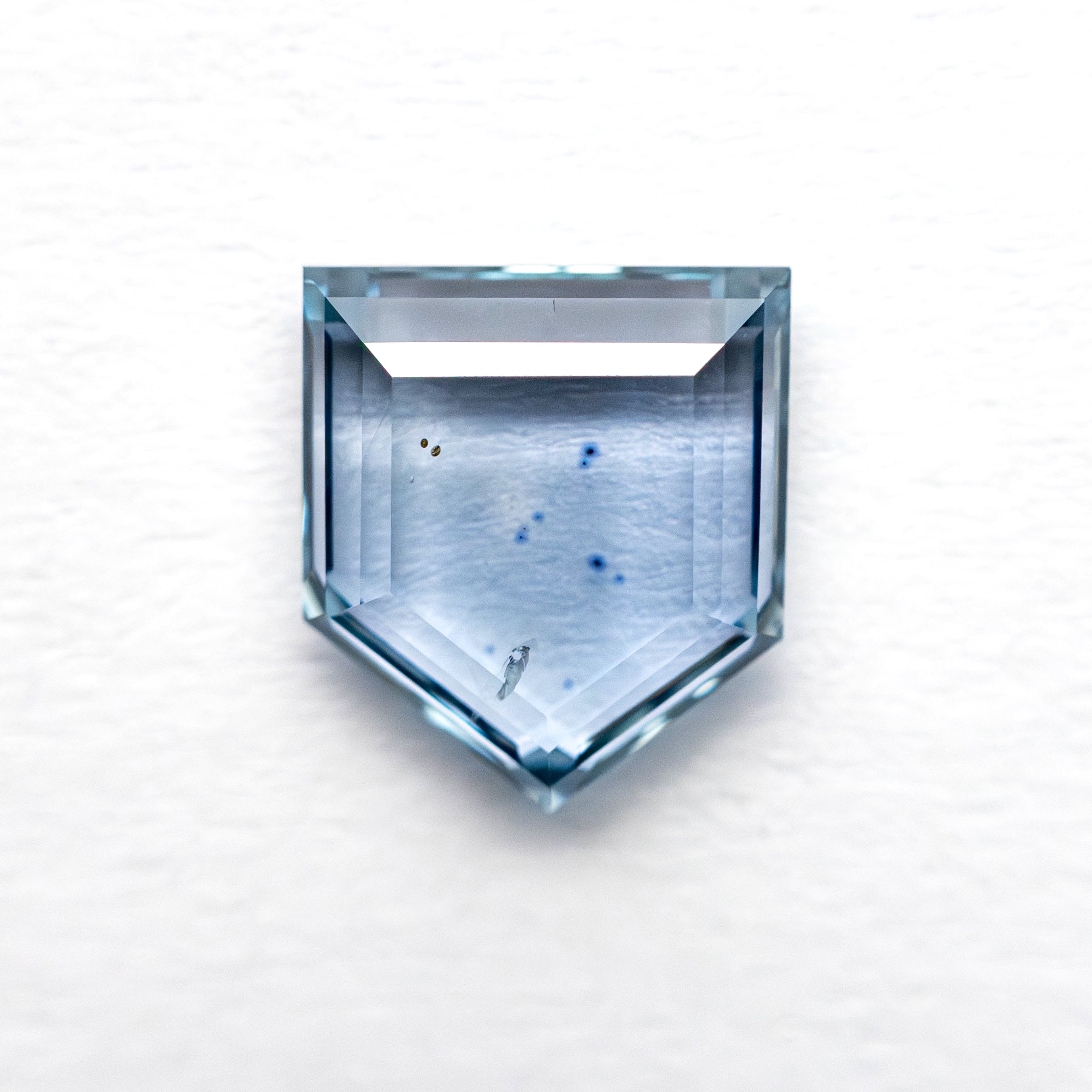 1.60ct 7.60x6.71x2.46mm Shield Portrait Cut Sapphire 23474-35-Staghead Designs