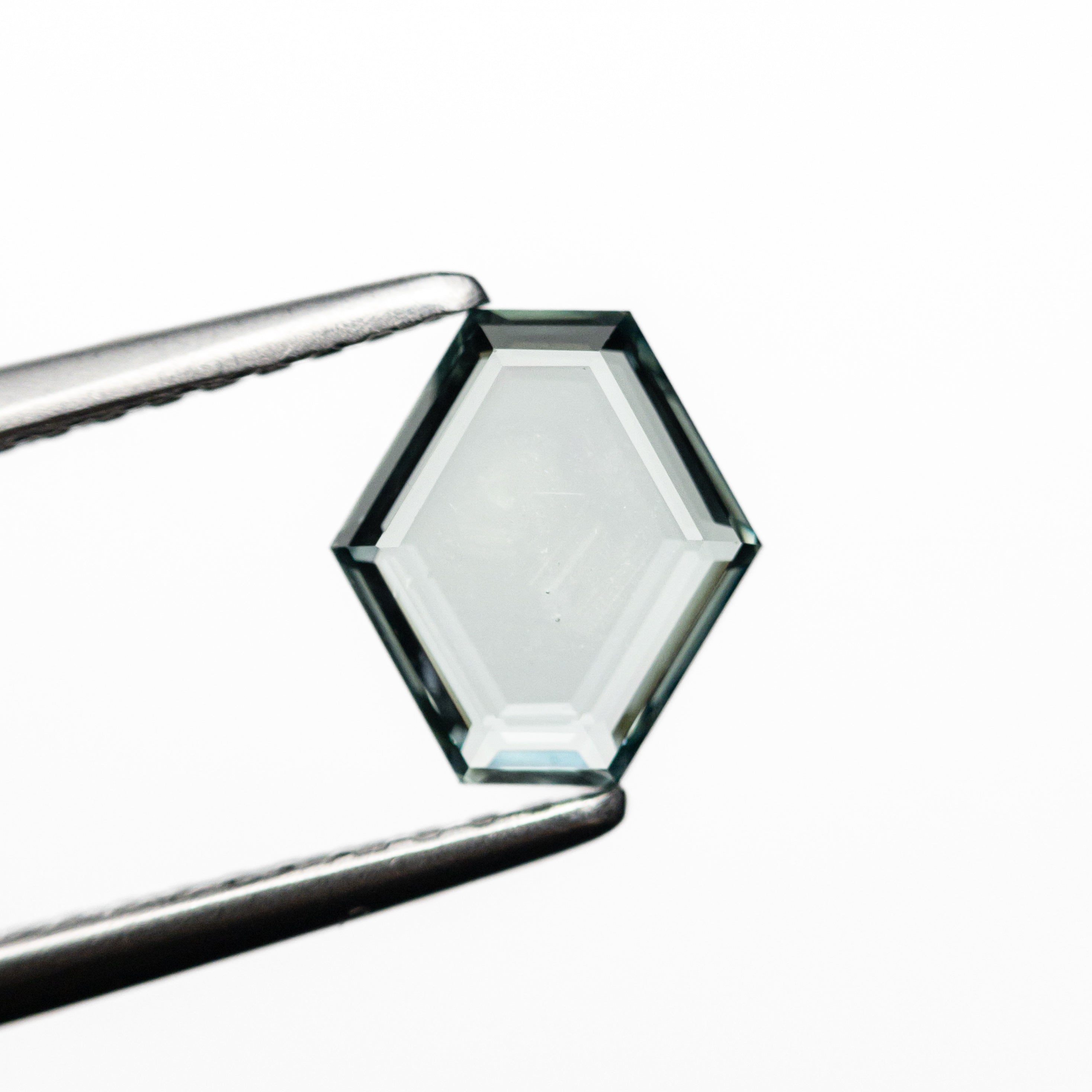 1.02ct 7.25x6.59x2.03mm Hexagon Portrait Cut Sapphire 23677-11-Staghead Designs