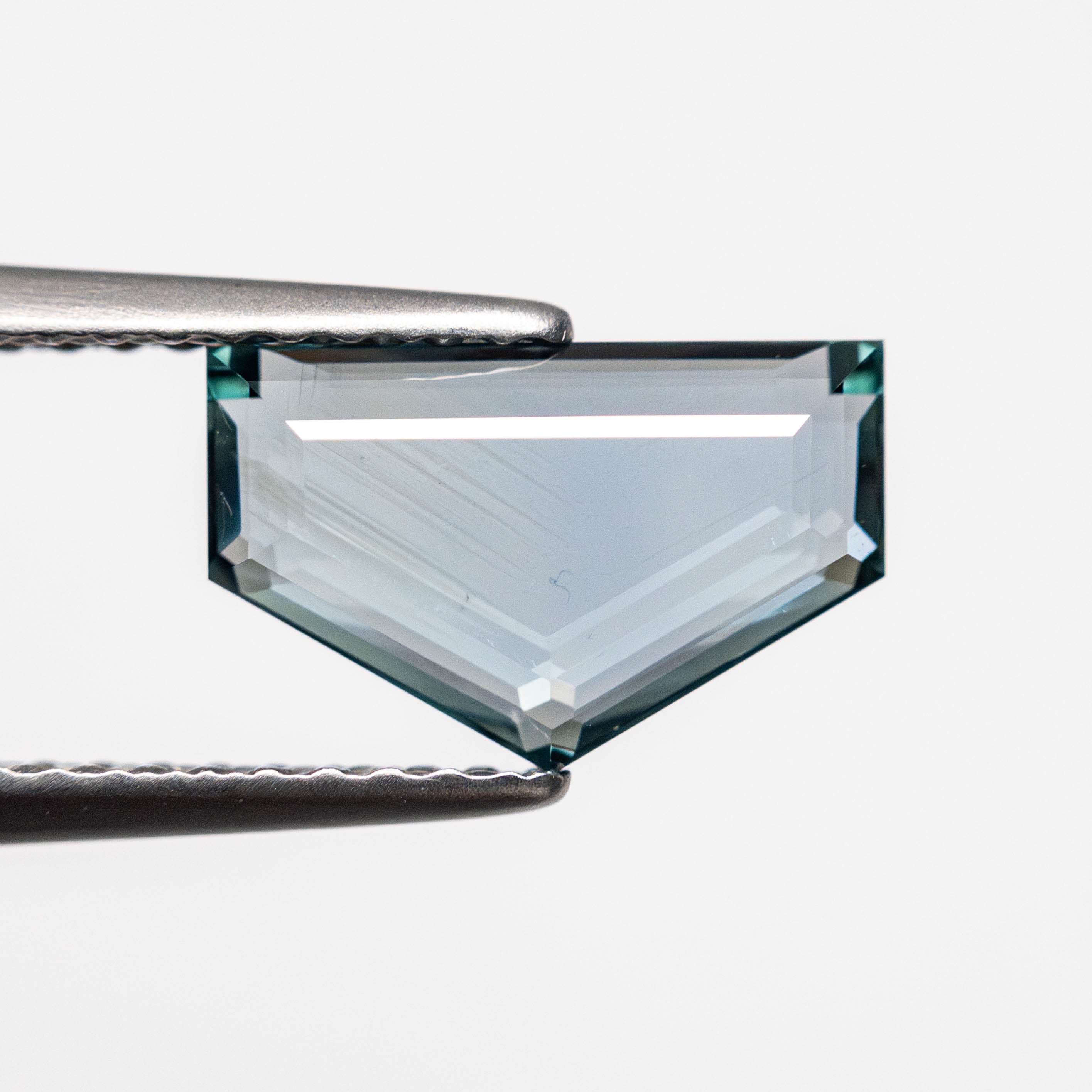 2.09ct 6.27x9.86x2.94mm Pentagon Portrait Cut Sapphire 23684-01-Staghead Designs