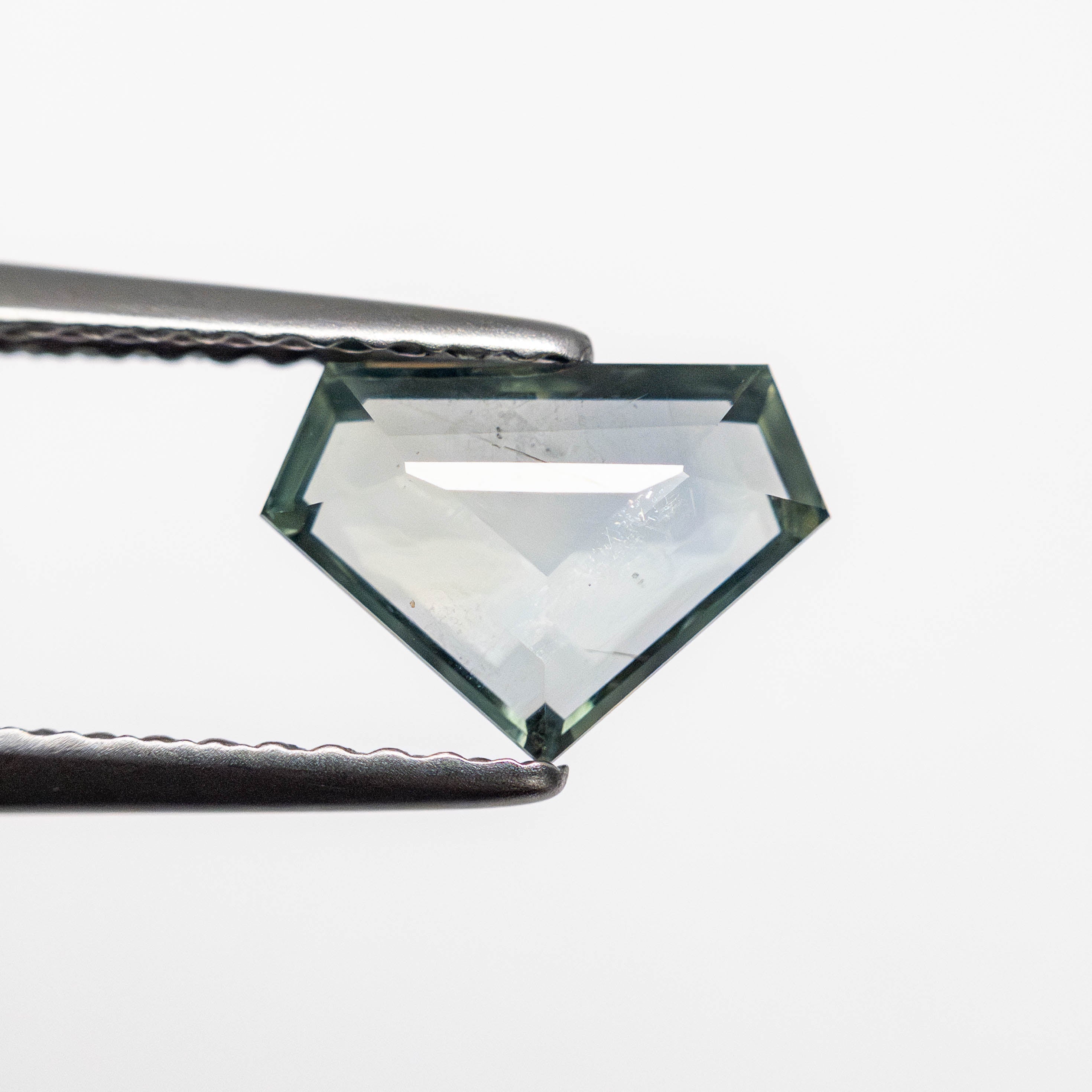 1.26ct 6.15x8.63x2.66mm Shield Portrait Cut Sapphire 23684-10-Staghead Designs