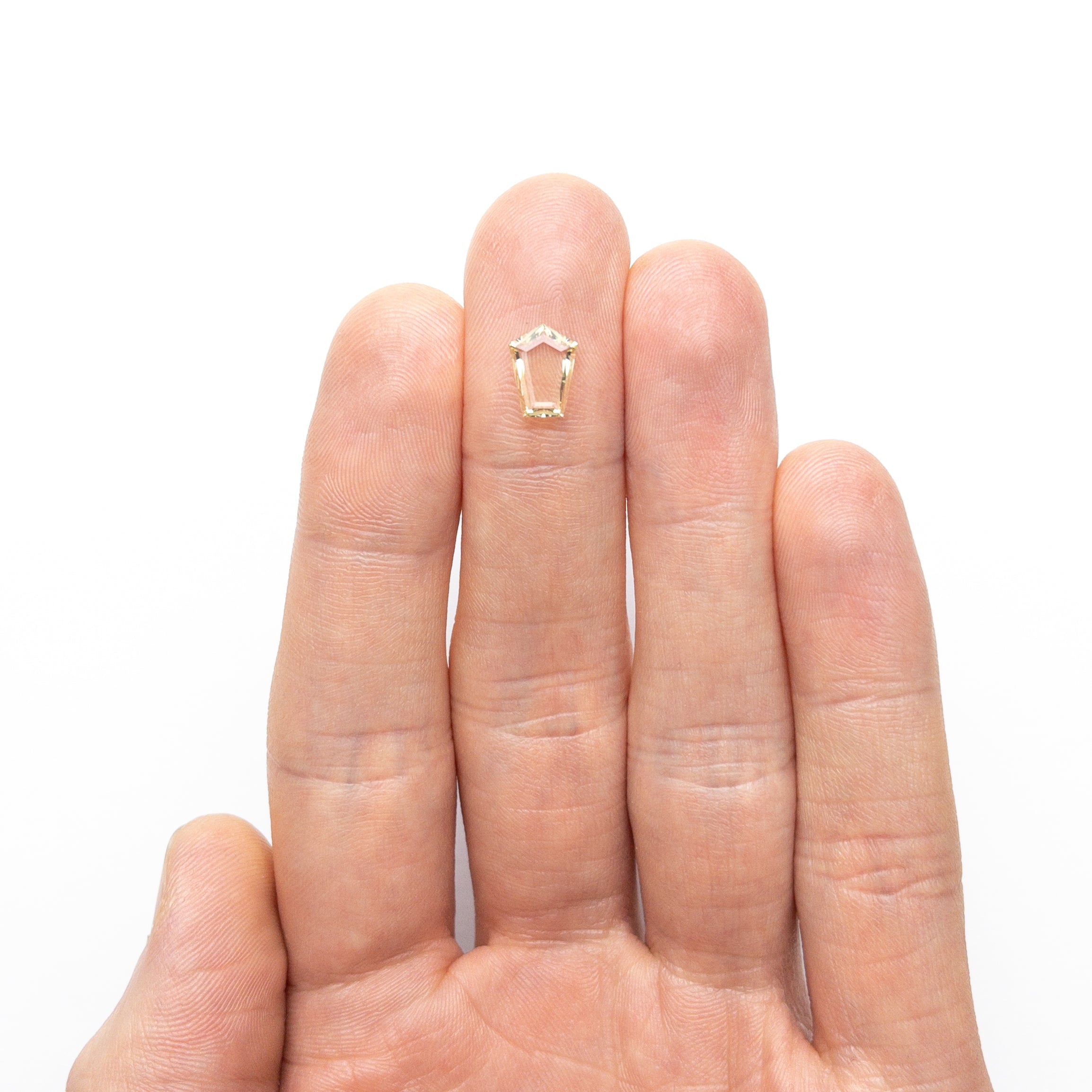 1.04ct 9.09x6.78x1.64mm Shield Portrait Cut Sapphire 23794-05-Staghead Designs