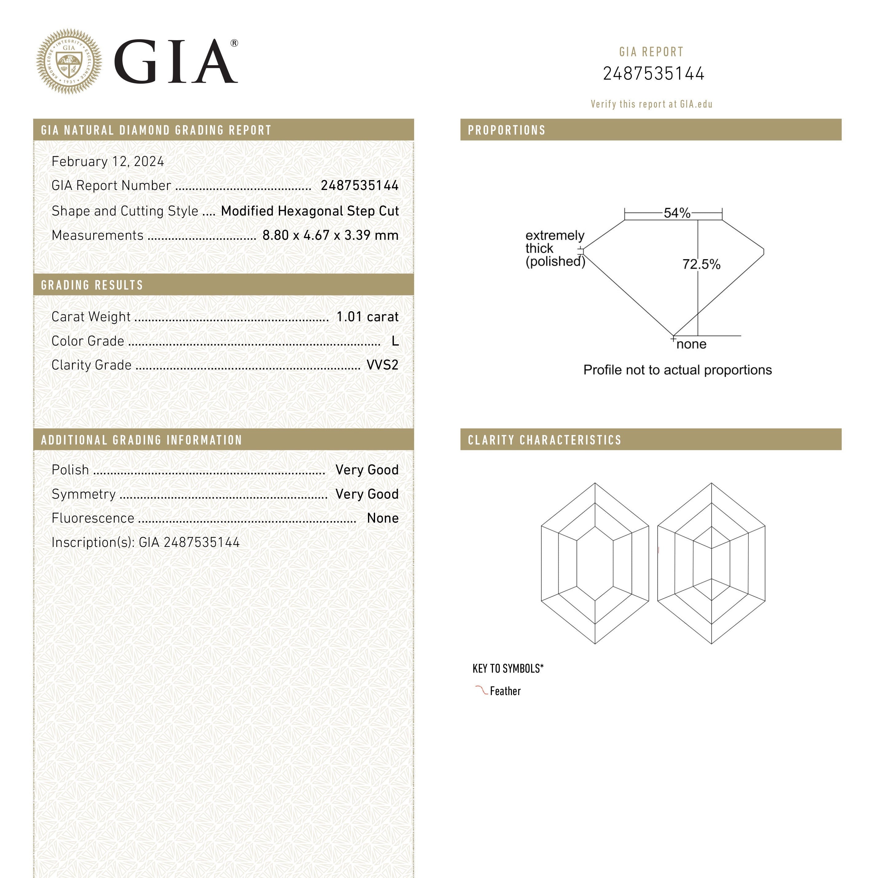 1.01ct 8.80x4.67x3.39mm GIA VVS2 L Hexagon Step Cut 25078-01-Staghead Designs