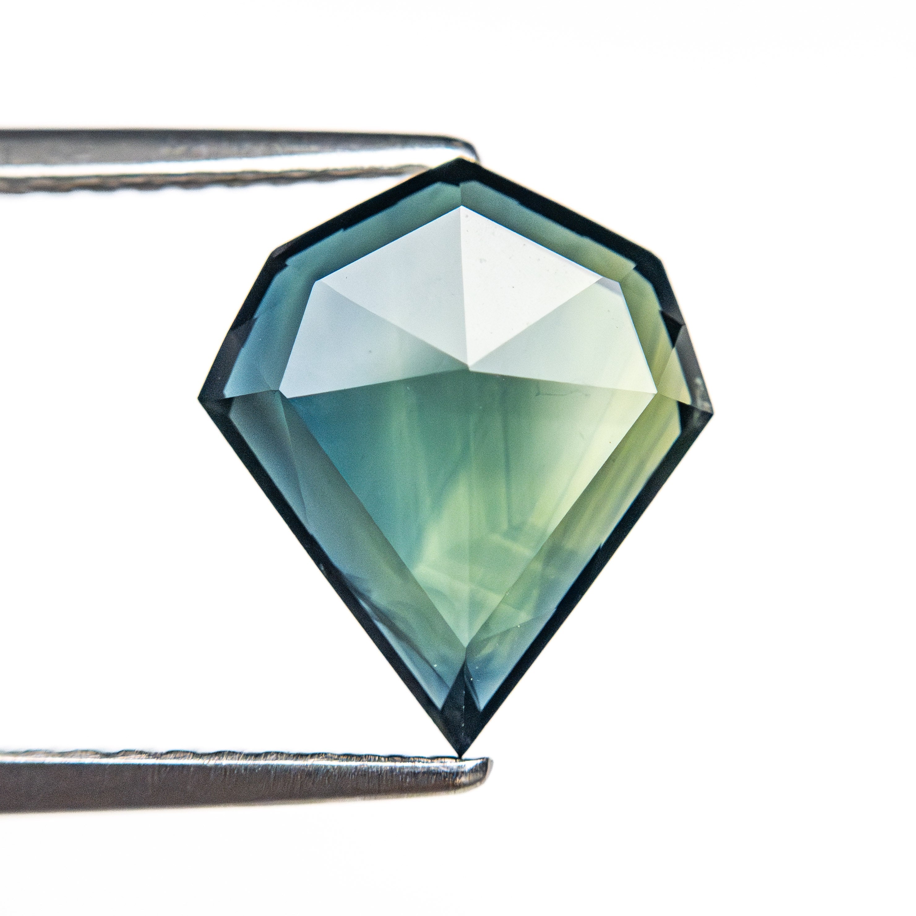2.42ct 11.00x9.47x2.93mm Shield Rosecut Sapphire 26327-15-Staghead Designs