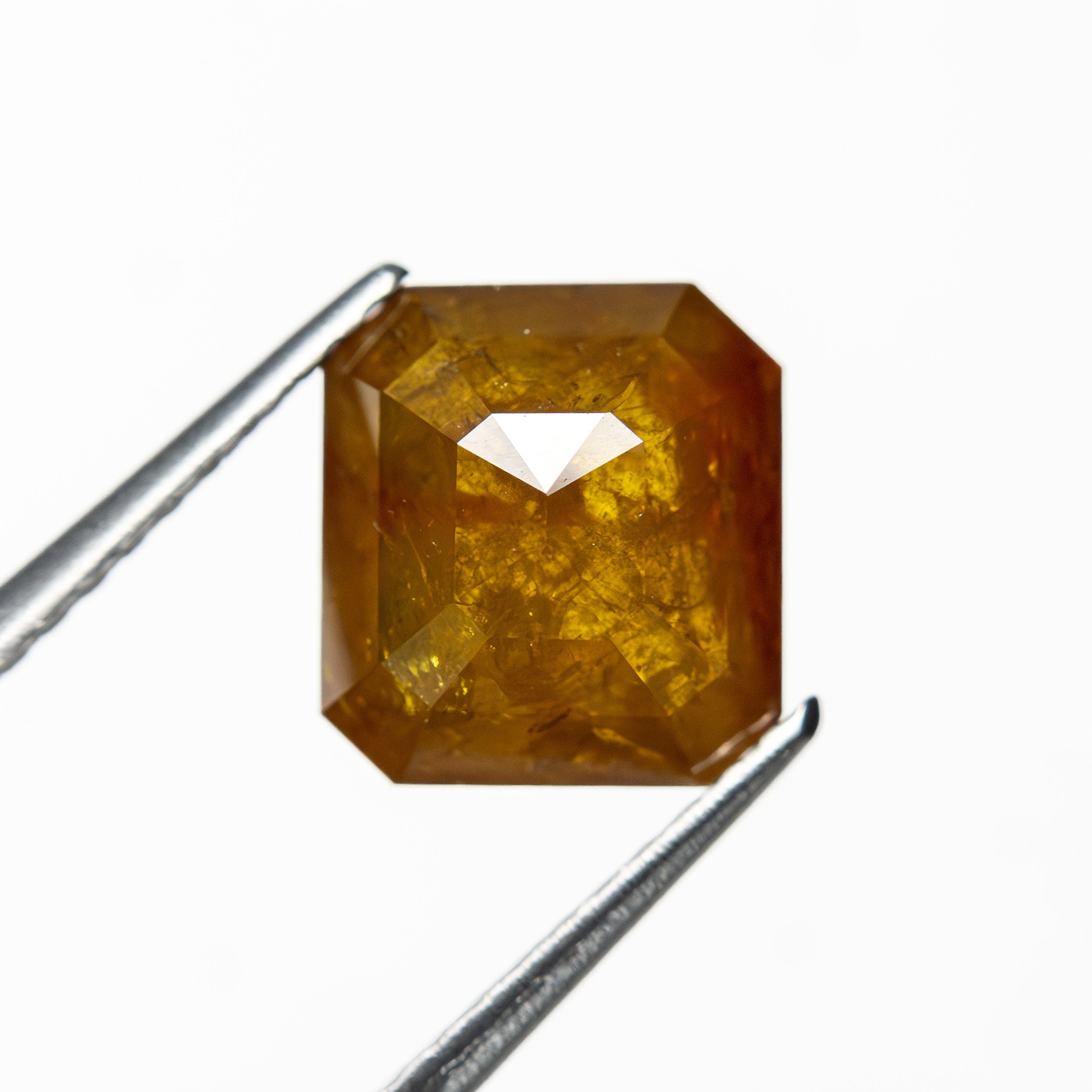 2.56ct 7.74x7.11x4.22mm Cut Corner Rectangle Rosecut 27557-01-Staghead Designs