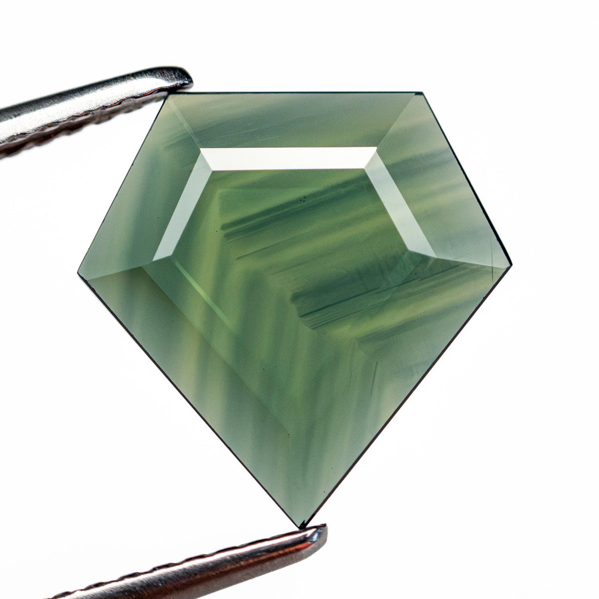 2.58ct 11.52x11.40x2.11mm Shield Rosecut Sapphire 28298-01-Staghead Designs
