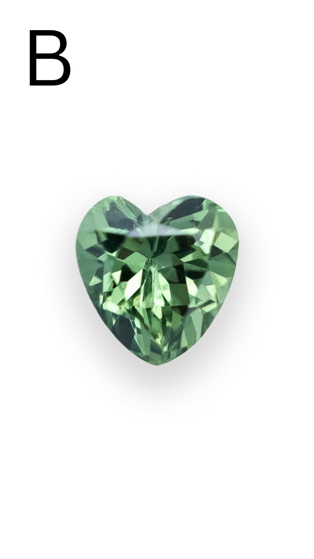 BEZEL SET HEART-CUT SAPPHIRE NECKLACE-Staghead Designs