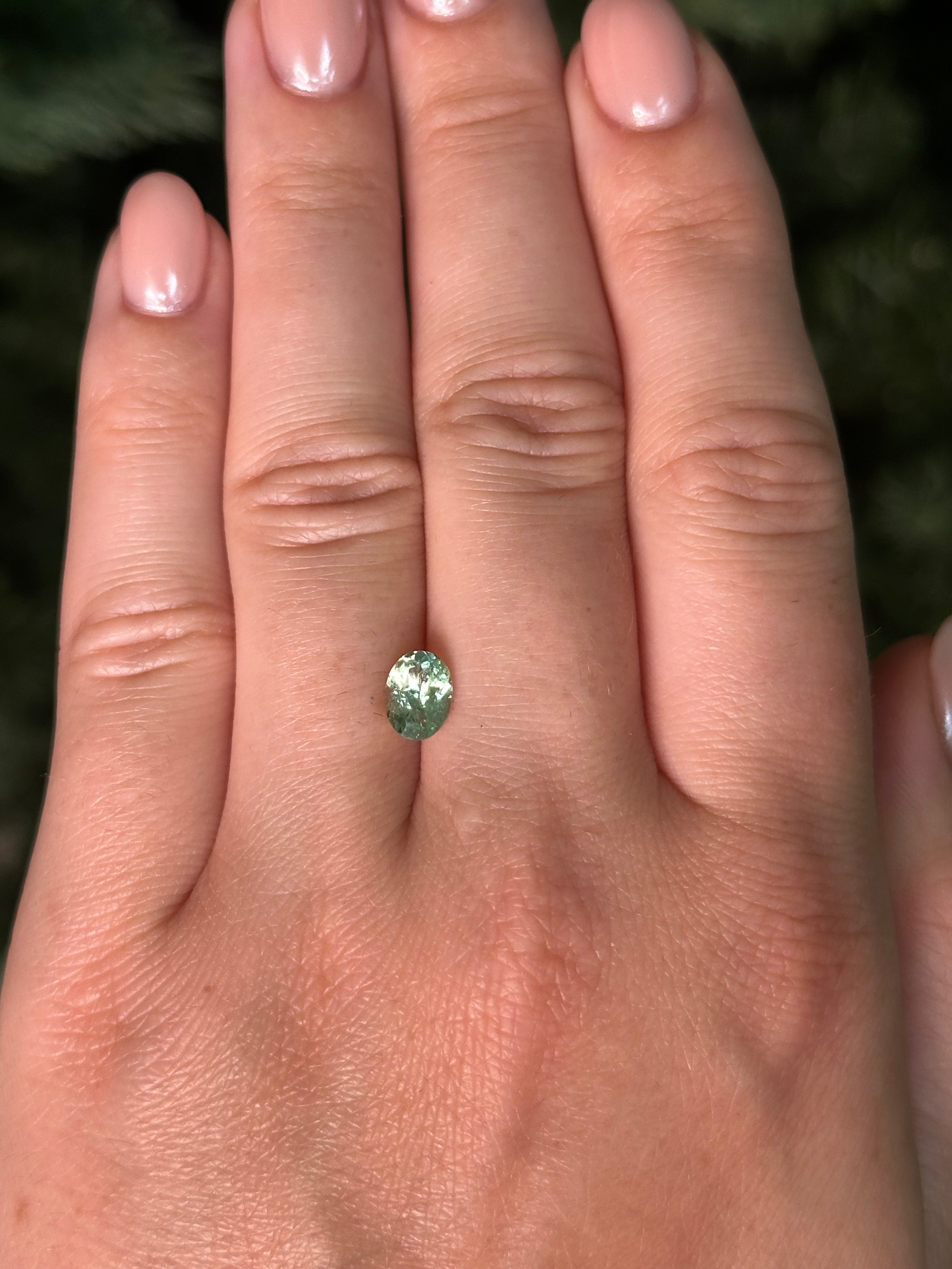 1.2ct 7.5x5.5x3.8mm OVAL CUT MINT MERELANI GARNET-Staghead Designs