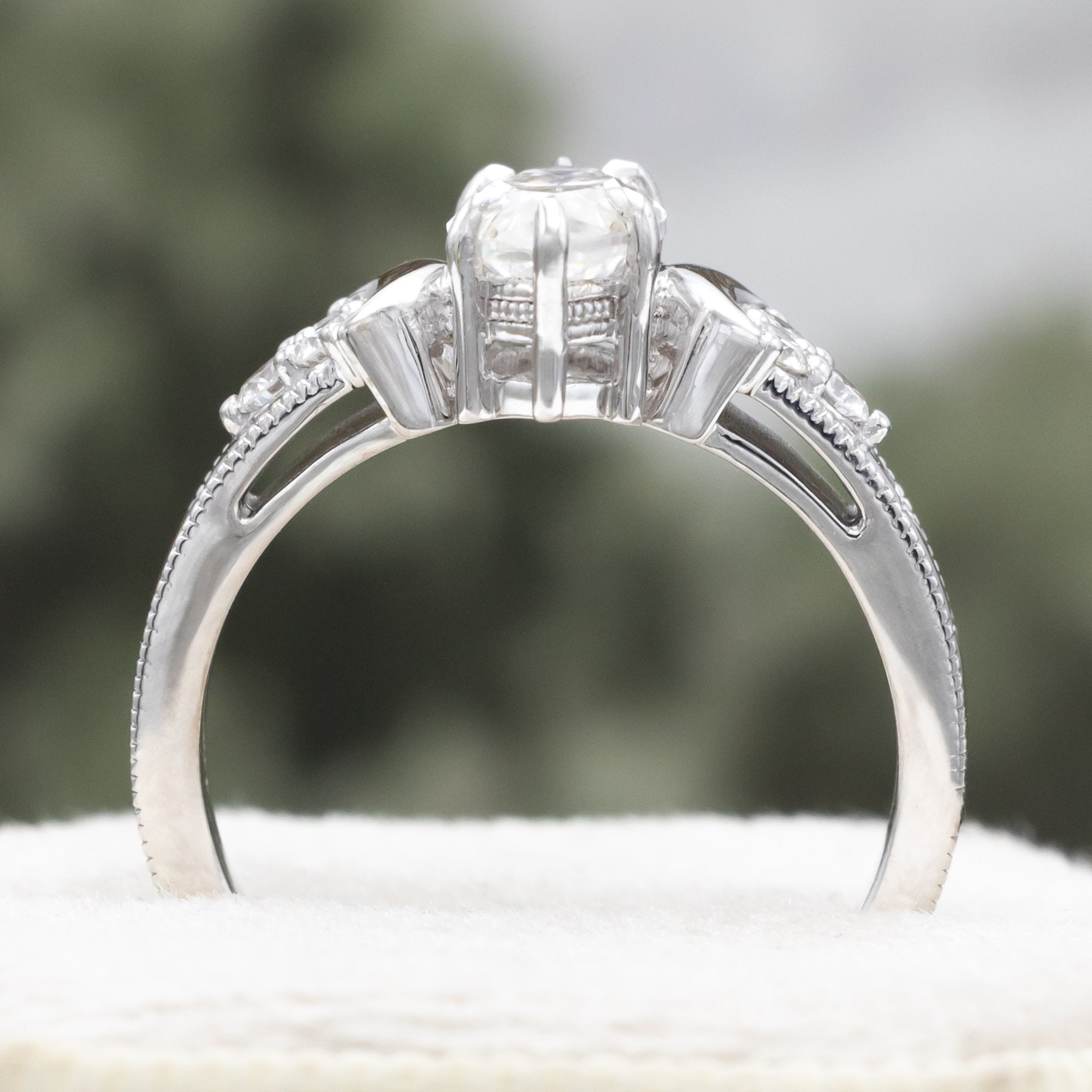 White gold ring with a large central moissanite and diamond accents on the band against a blurred green background