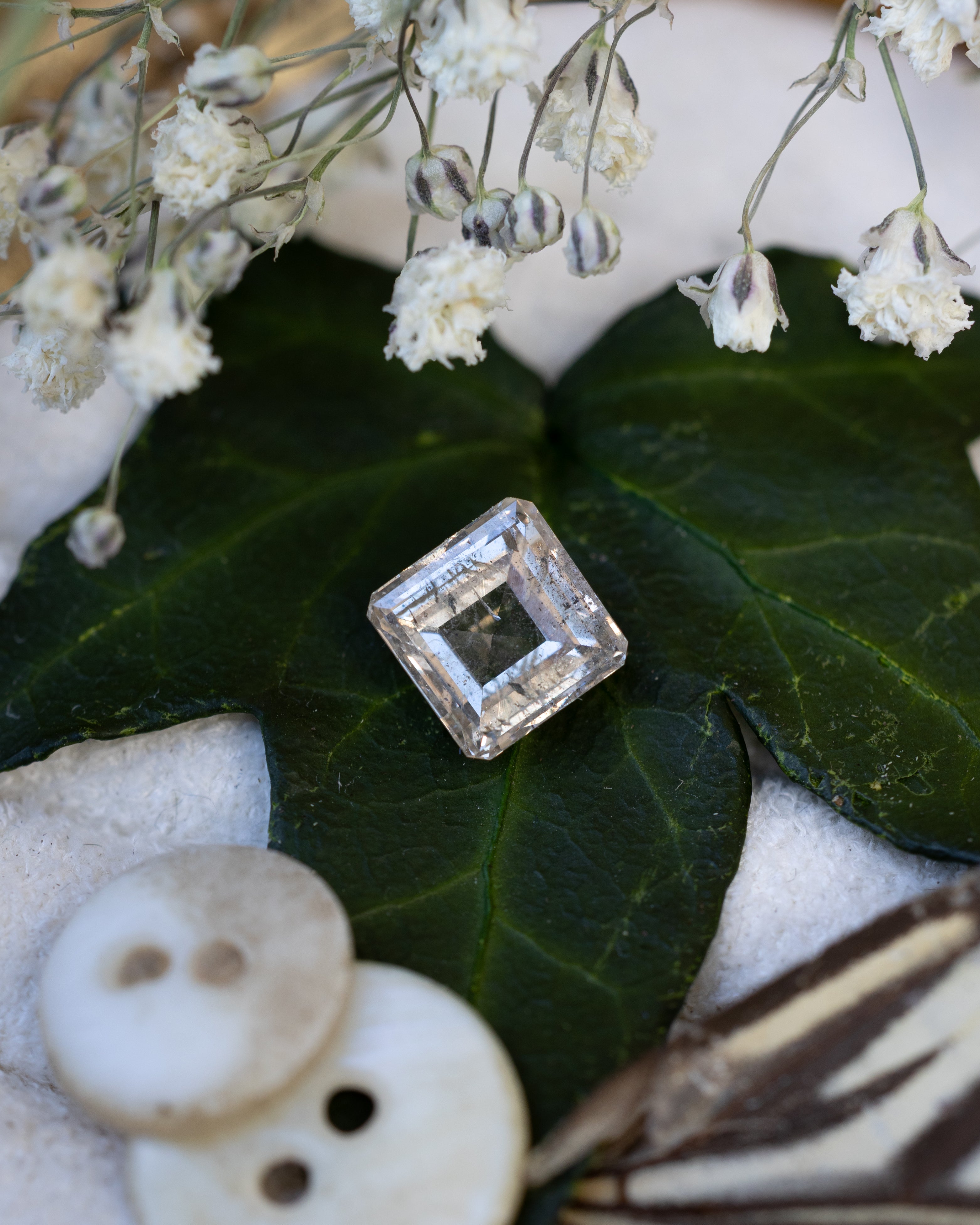 1.86ct 6.83x7.12mm ASSCHER CUT CHAMPAGNE SALT & PEPPER DIAMOND-Staghead Designs