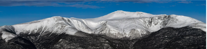 Custom Listing for Kjrsti H-Staghead Designs