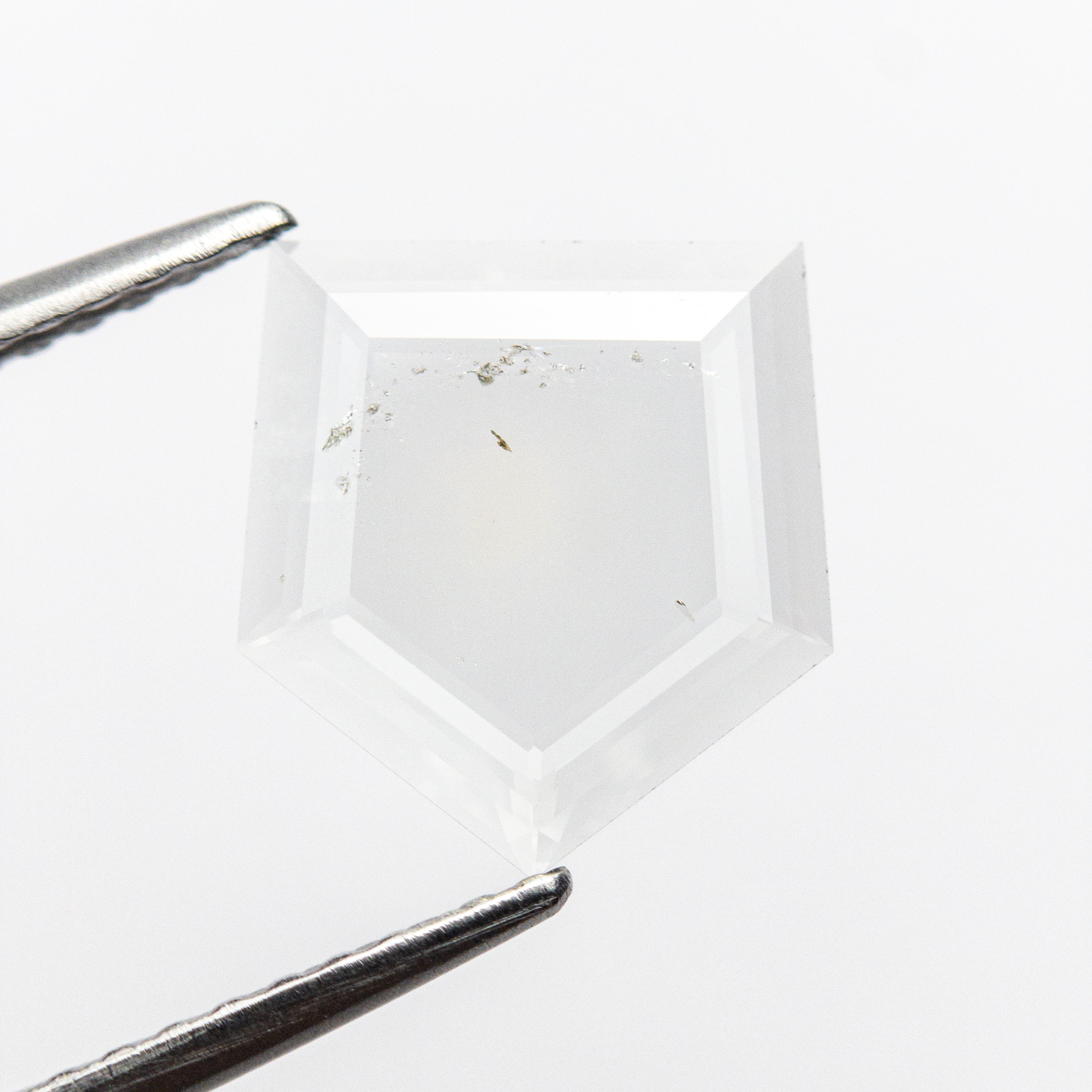 1.00ct 9.65x8.90x0.99mm Shield Portrait Cut Sapphire 22392-01-Staghead Designs