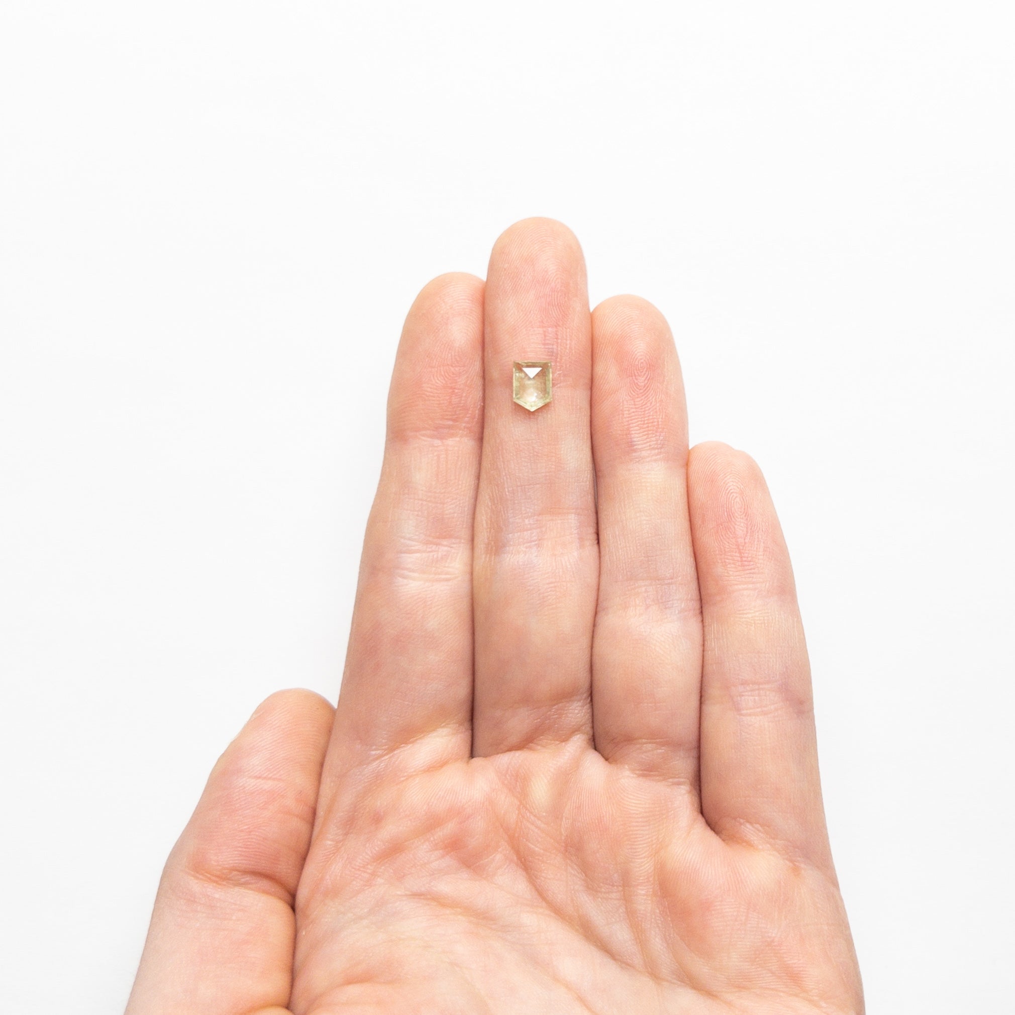 1.00ct 6.48x4.85x2.63mm Pentagon Double Cut Sapphire 22434-86-Staghead Designs