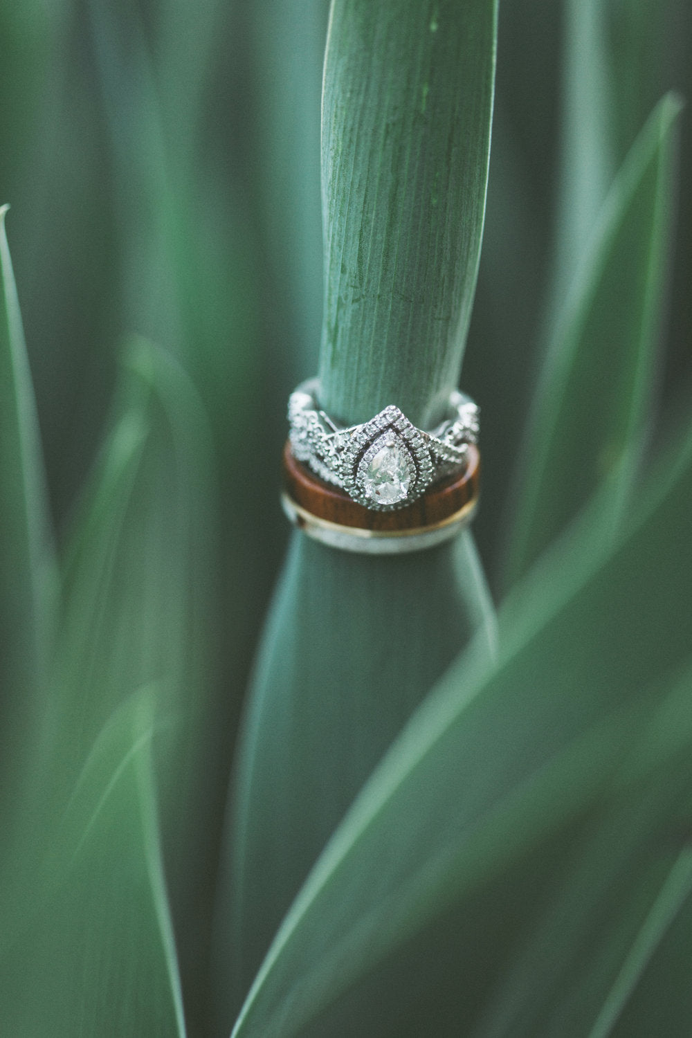 "GOLDEN" - IRONWOOD, ANTLER & 14K WHITE GOLD INLAY WEDDING BAND-7