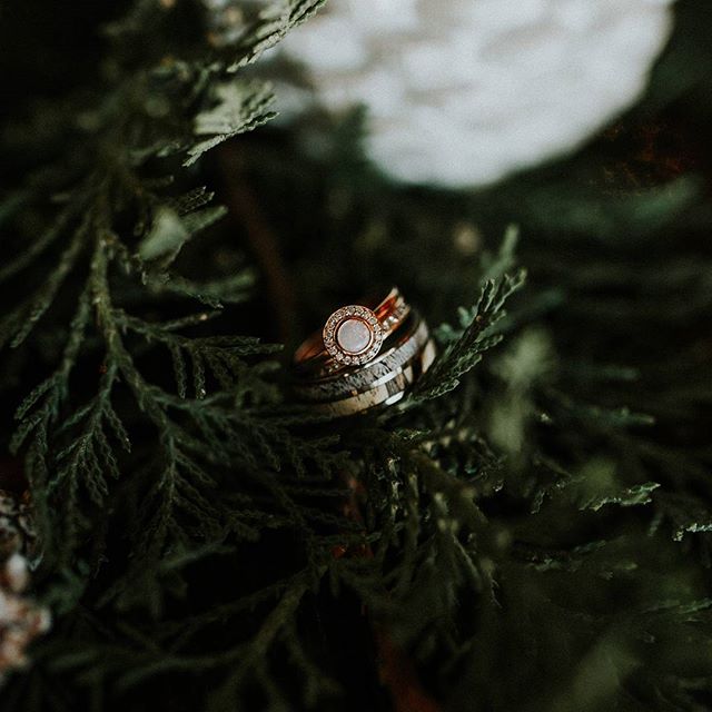 "DYAD" - SPALTED MAPLE & ANTLER WEDDING BAND-15