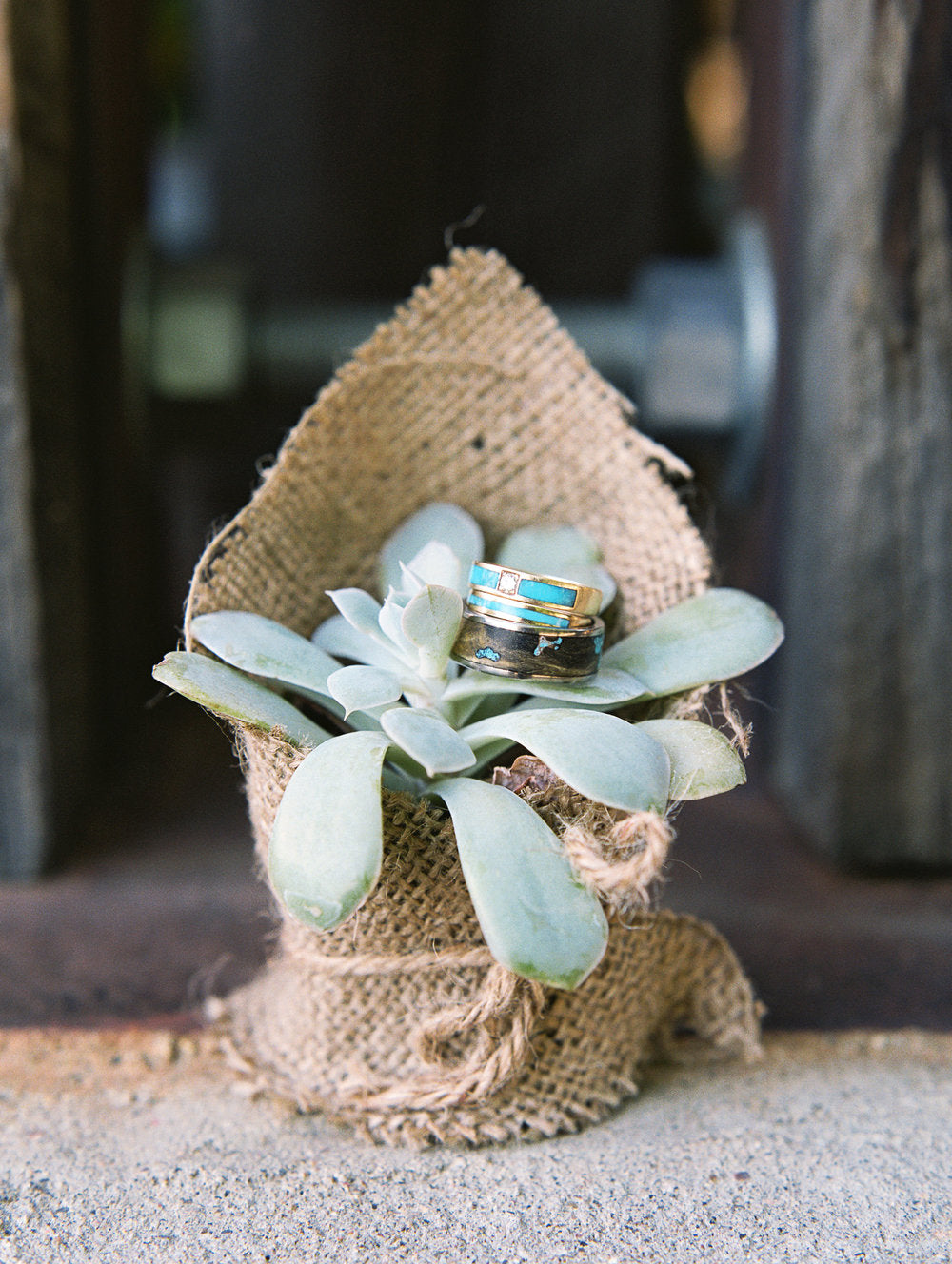 "RAINIER" - BUCKEYE BURL & TURQUOISE WEDDING BAND-19