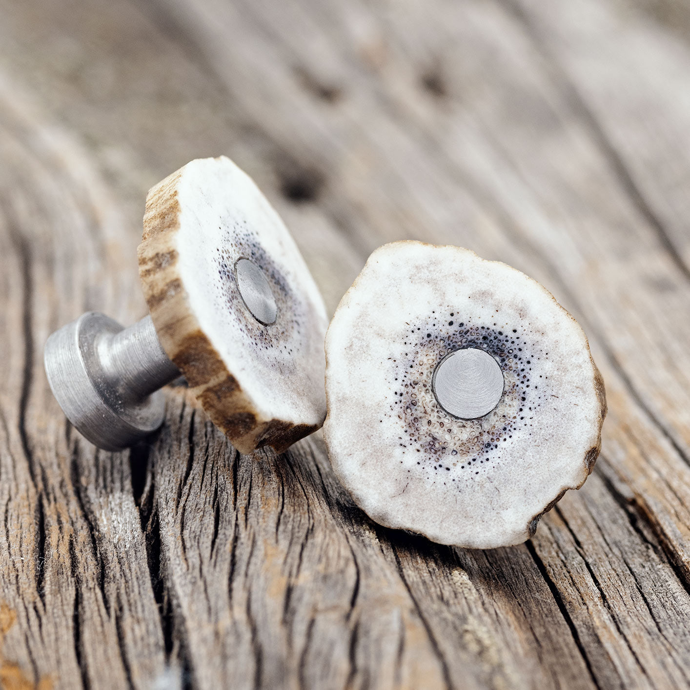 ELK ANTLER CUFFLINKS WITH TITANIUM BASES-3