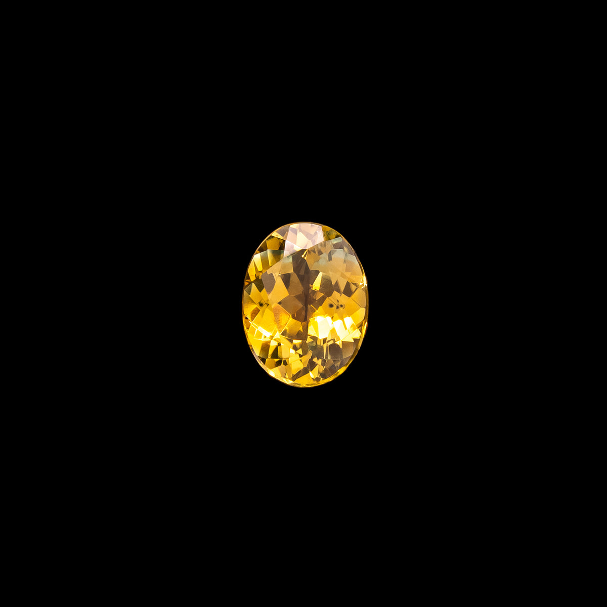"DOVIE" - OVAL BI-COLOR MONTANA SAPPHIRE-4
