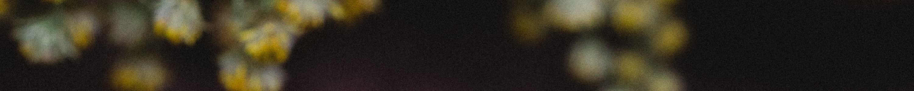 Earrings-Staghead Designs