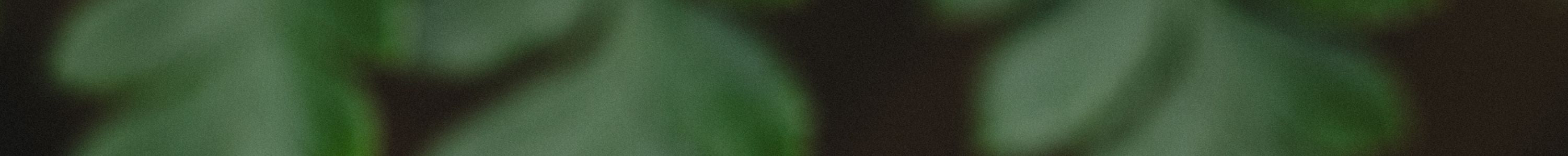 Gothic Engagement Rings-Staghead Designs