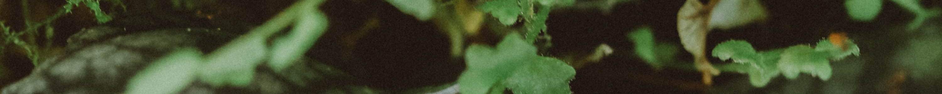 Moss Agate Engagement Rings-Staghead Designs