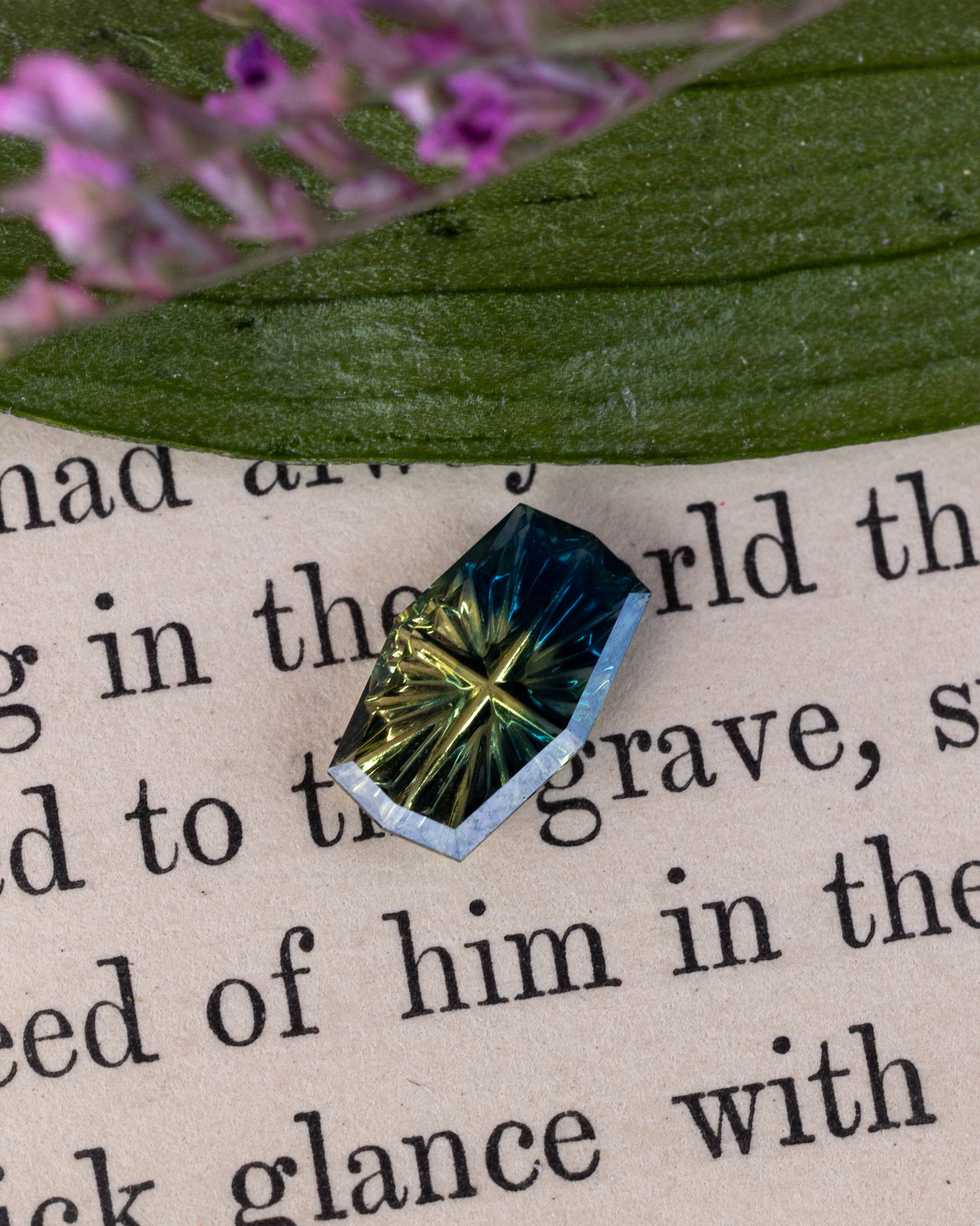 A bi-color faceted sapphire gemstone with a starburst pattern, resting on printed paper with dried flowers in the background