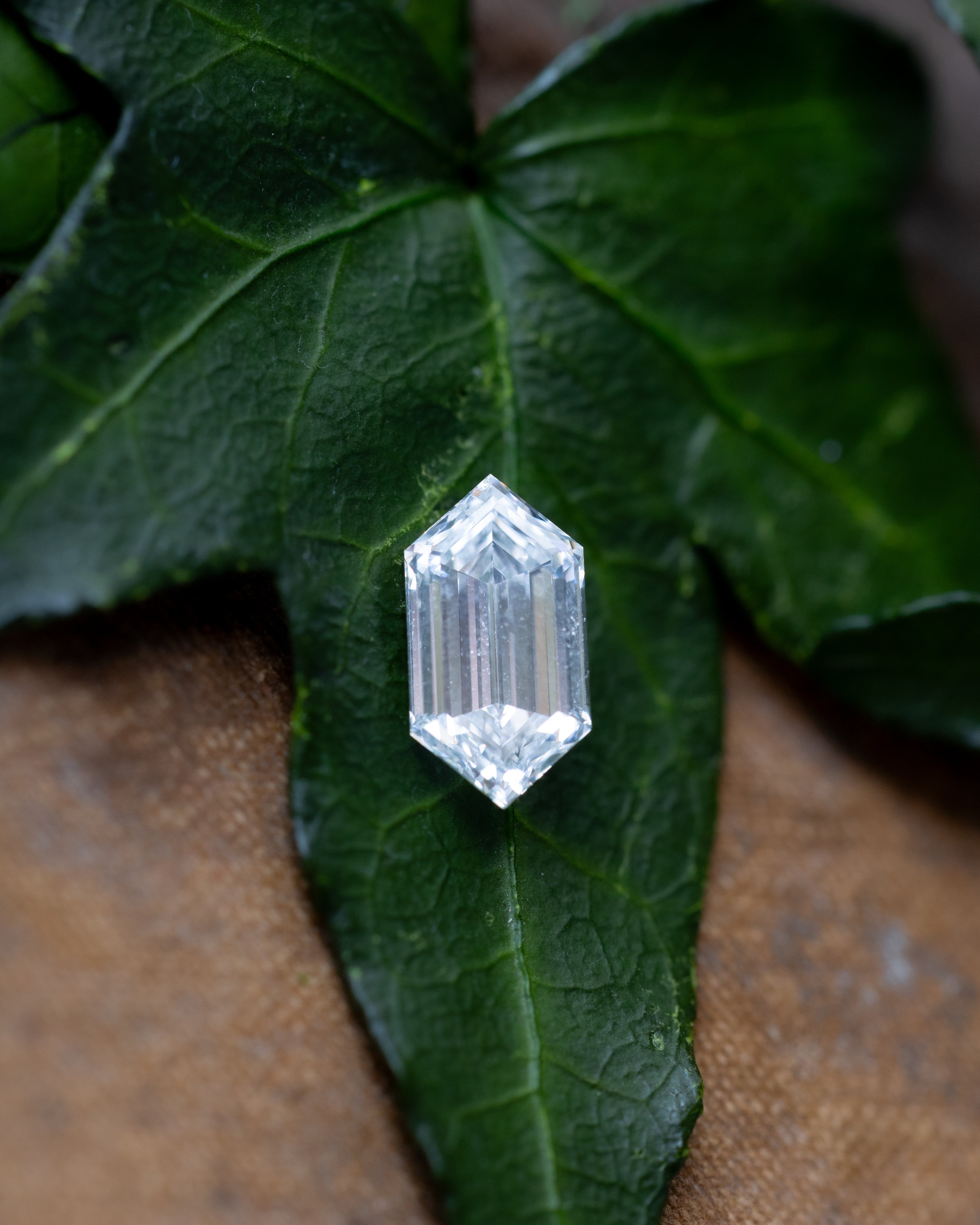 1.5ct 10.2x5.38x3.59mm ELONGATED HEXAGON DUCHESS STEP CUT LAB-GROWN DIAMOND - GIA VVS2 D-Staghead Designs