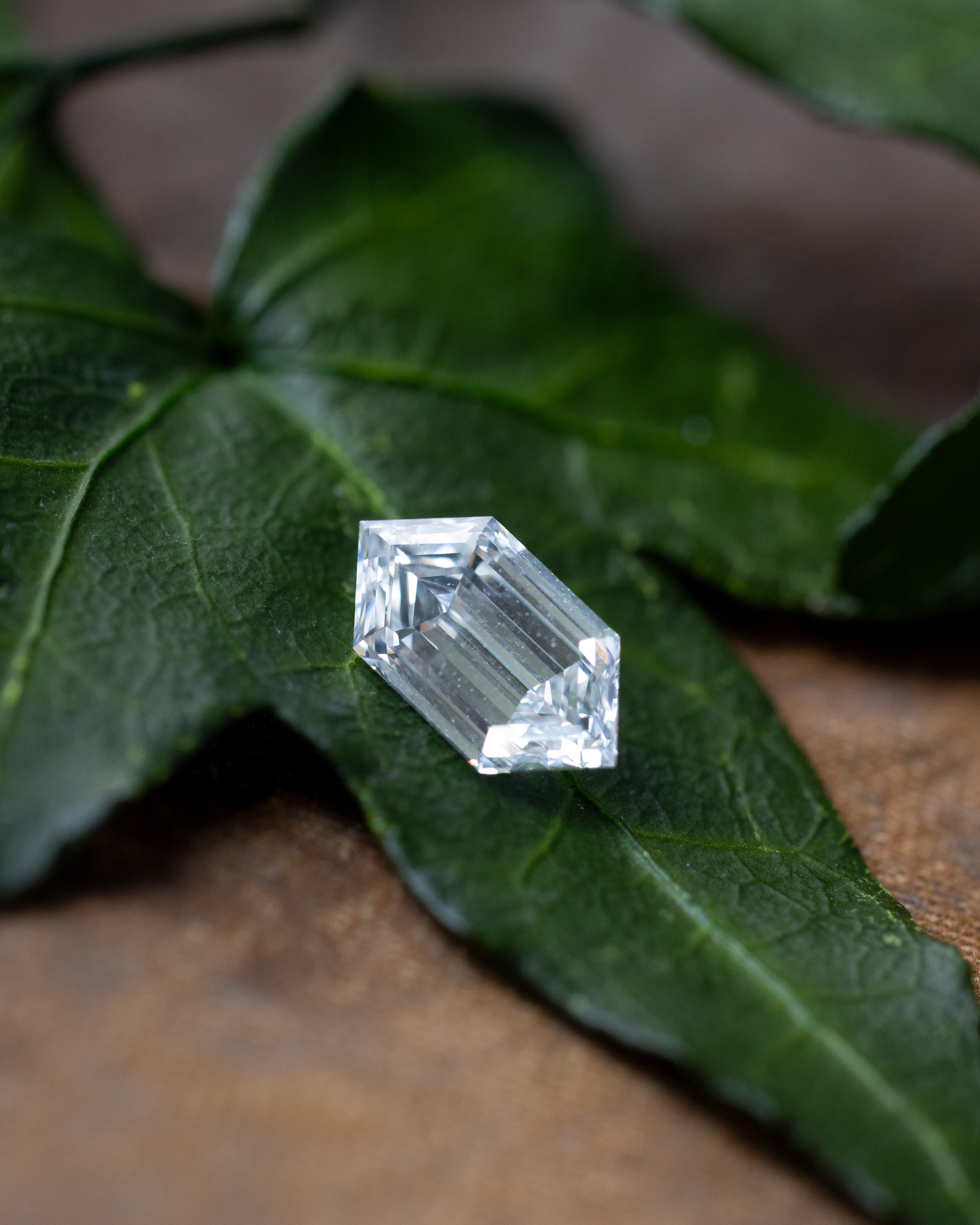 1.5ct 10.36x5.48x3.57mm ELONGATED HEXAGON DUCHESS STEP CUT LAB-GROWN DIAMOND - GIA VVS2 D-Staghead Designs