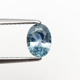 0.91ct 6.82x5.04x3.24mm Oval Brilliant Sapphire 19939-02-Staghead Designs