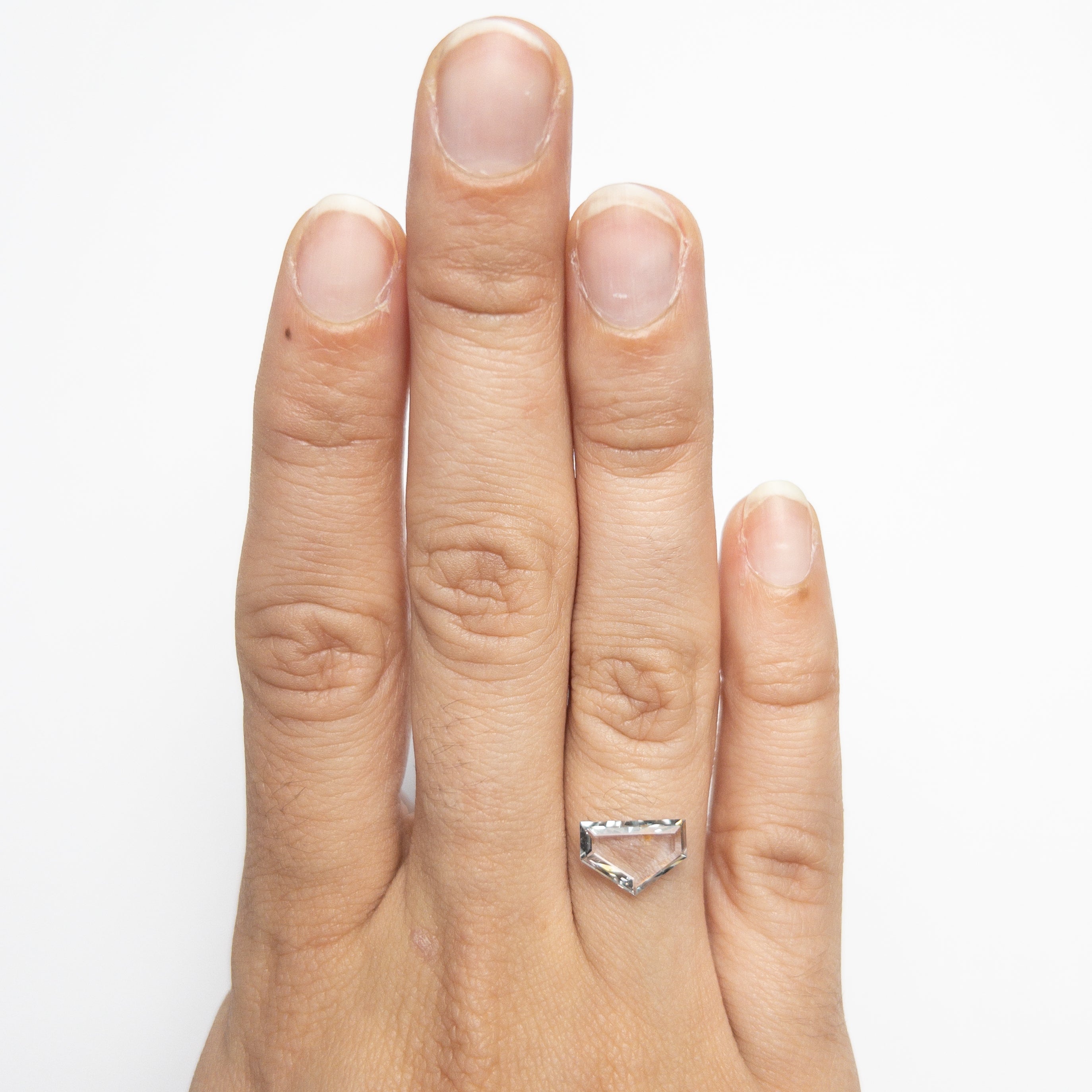 1.62ct 10.67x7.27x1.95mm Shield Portrait Cut Sapphire 20885-01-Staghead Designs