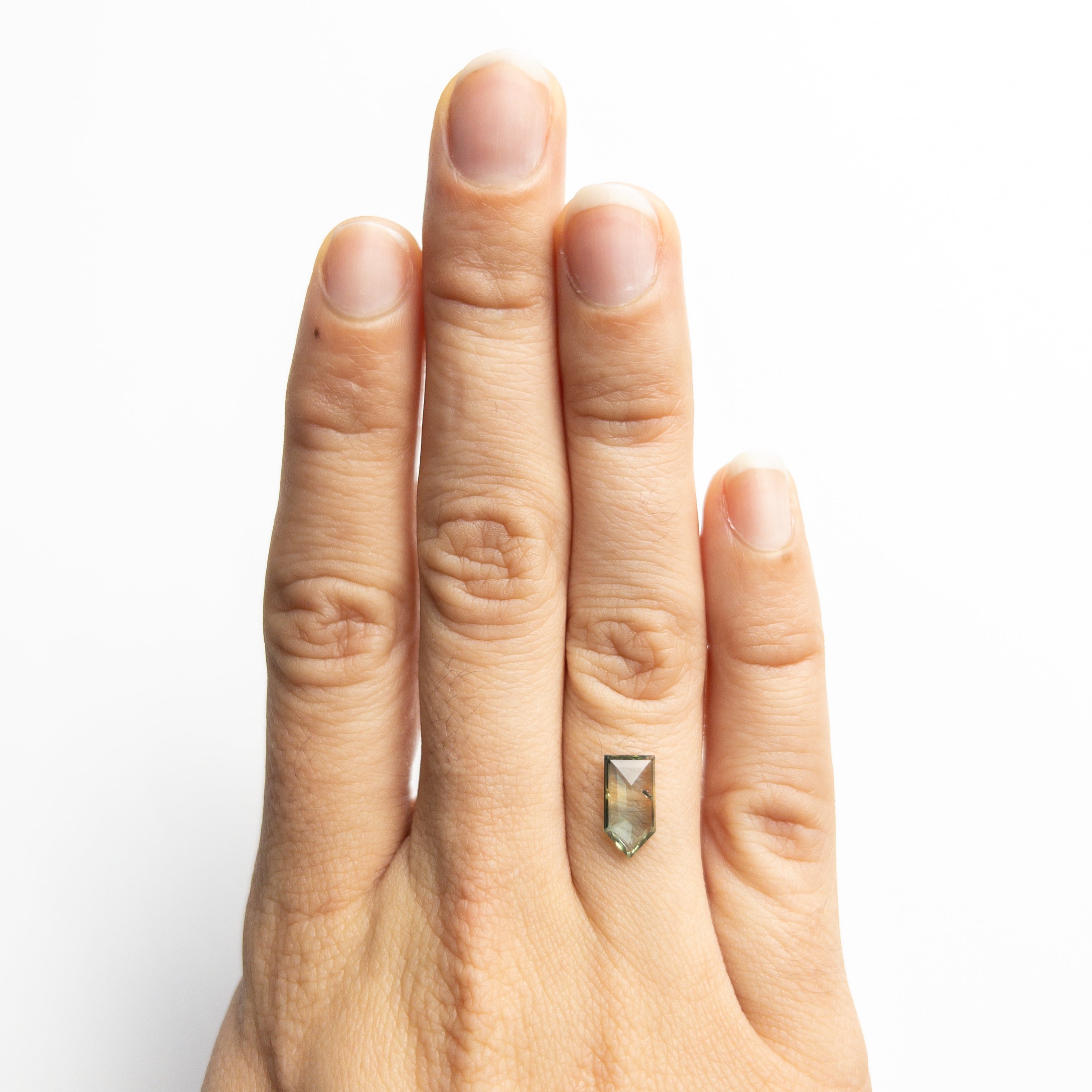 1.30ct 10.36x5.35x1.94mm Shield Rosecut Sapphire 22434-11-Staghead Designs