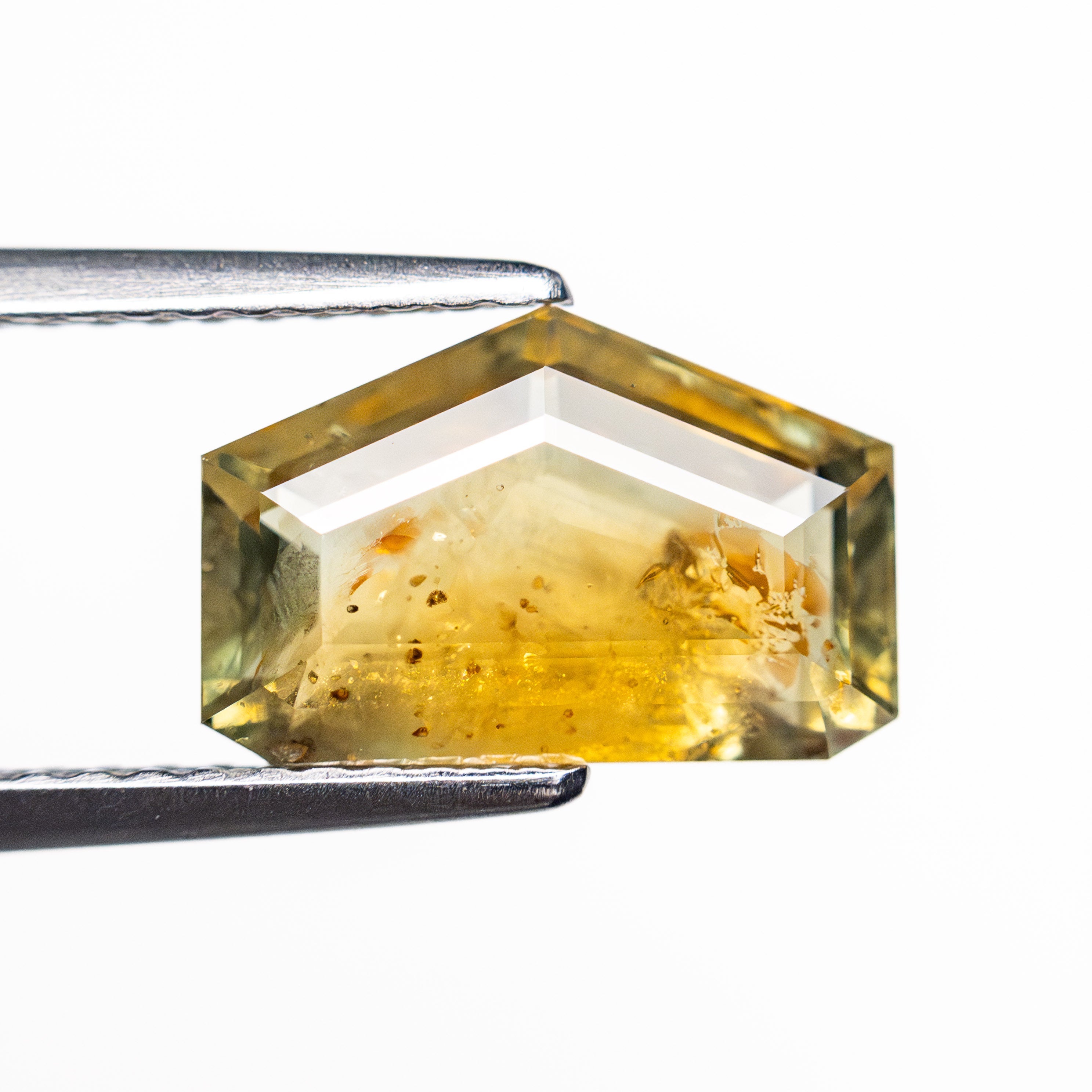 3.41ct 6.90x10.49x4.05mm Shield Portrait Cut Sapphire 22434-143-Staghead Designs