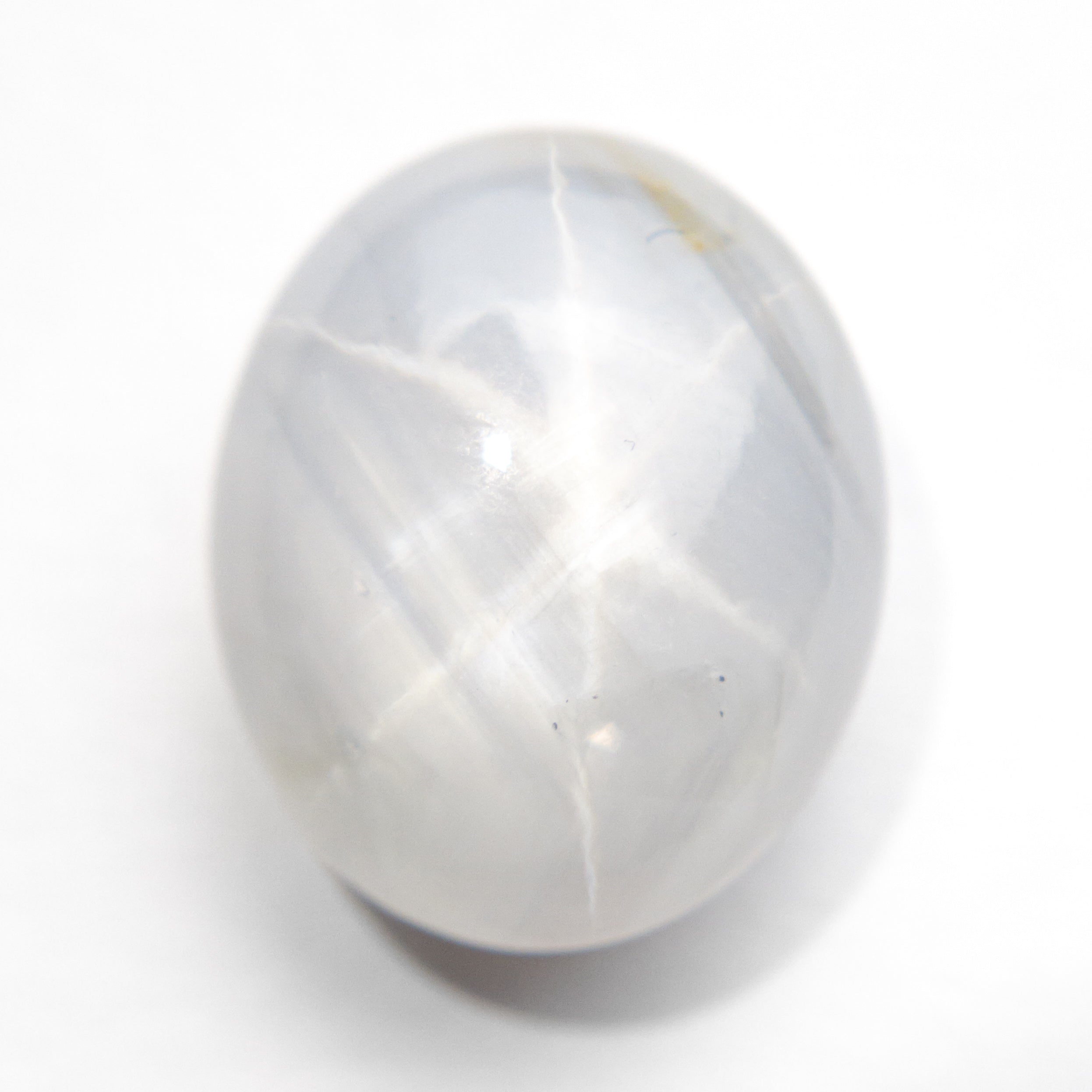 14.93ct 14.37x11.94x8.58mm Oval Cabochon Cut Star Sapphire 22502-01-Staghead Designs