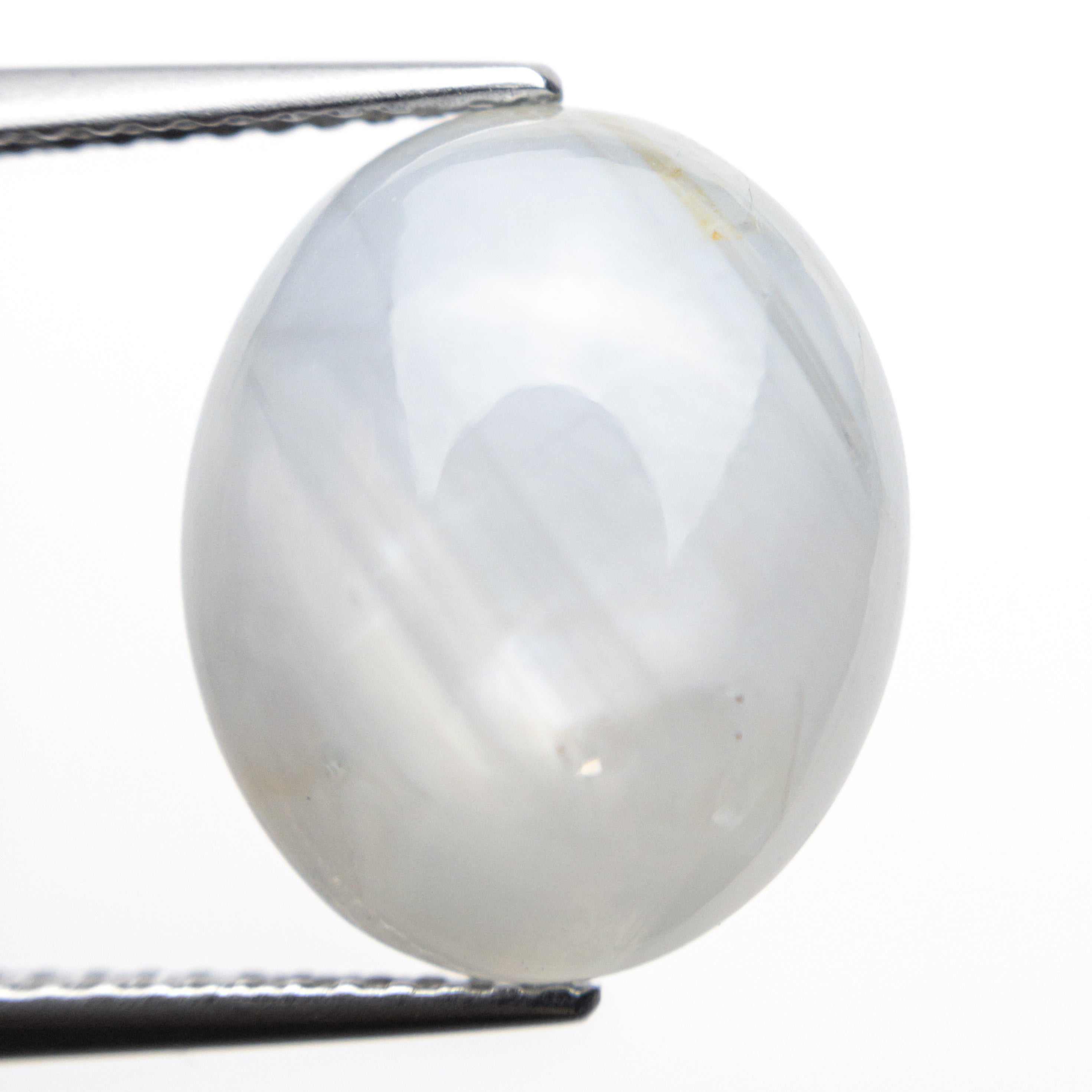 14.93ct 14.37x11.94x8.58mm Oval Cabochon Cut Star Sapphire 22502-01-Staghead Designs