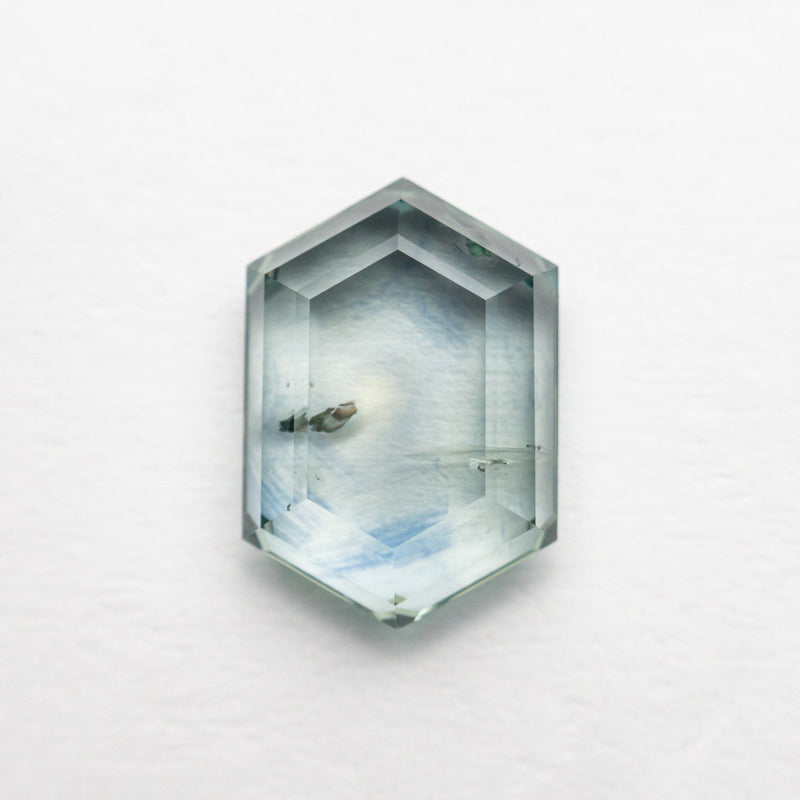 2.38ct 9.55x6.61x3.05mm Hexagon Portrait Cut Sapphire 23469-01-1