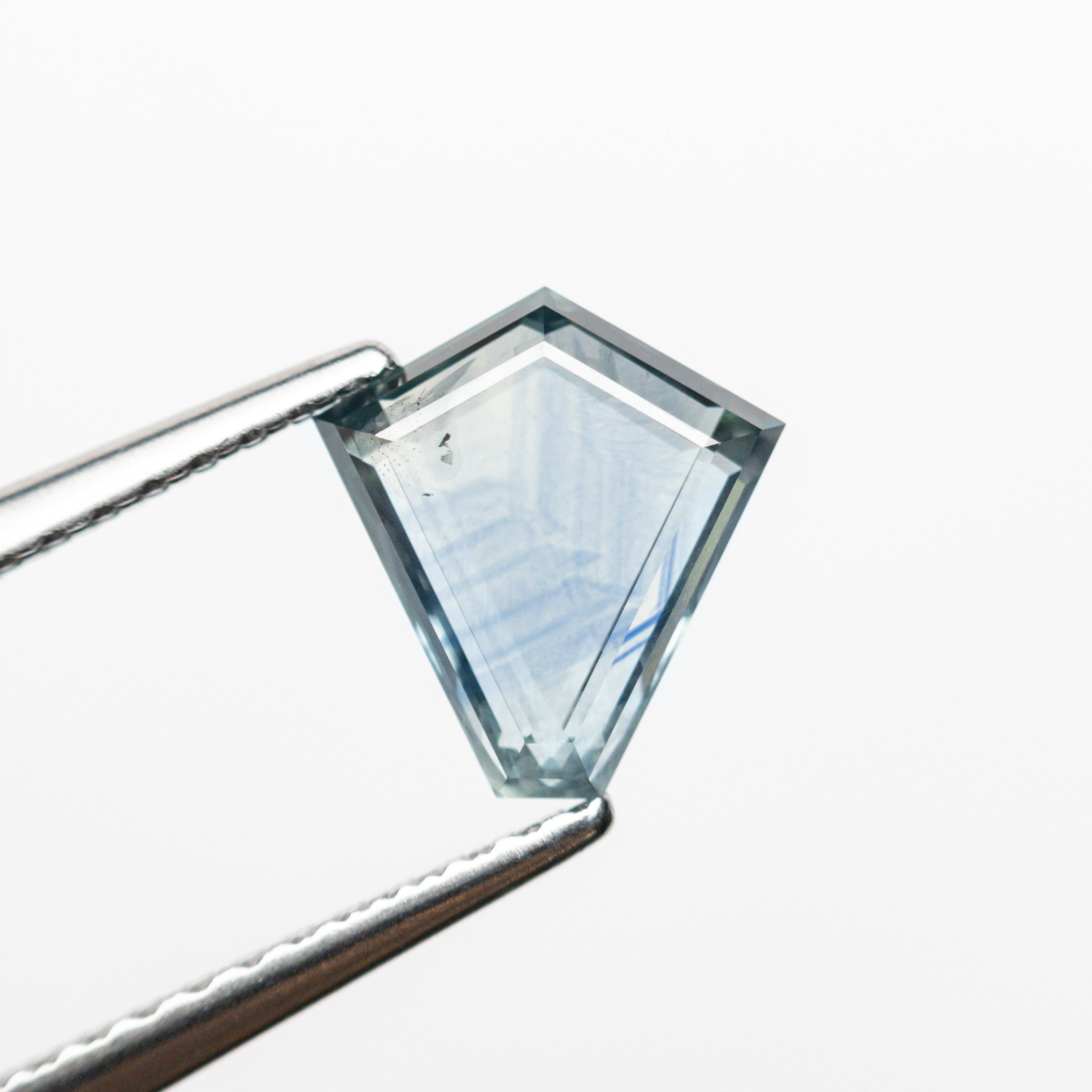 1.32ct 7.89x7.31x2.60mm Shield Portrait Cut Sapphire 23474-23-Staghead Designs