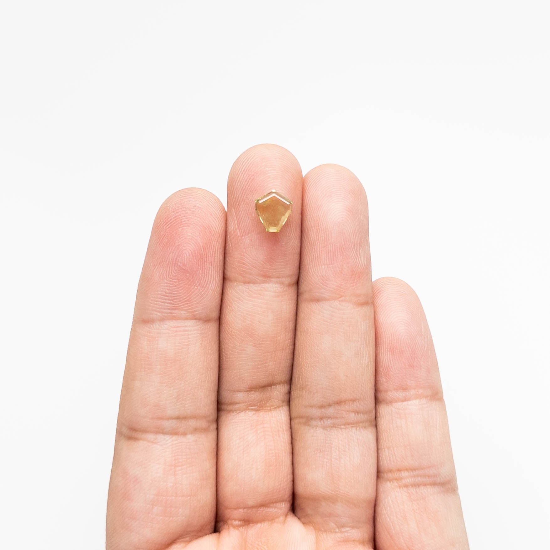 1.43ct 7.92x7.11x2.26mm Shield Portrait Cut Sapphire 23474-55-Staghead Designs