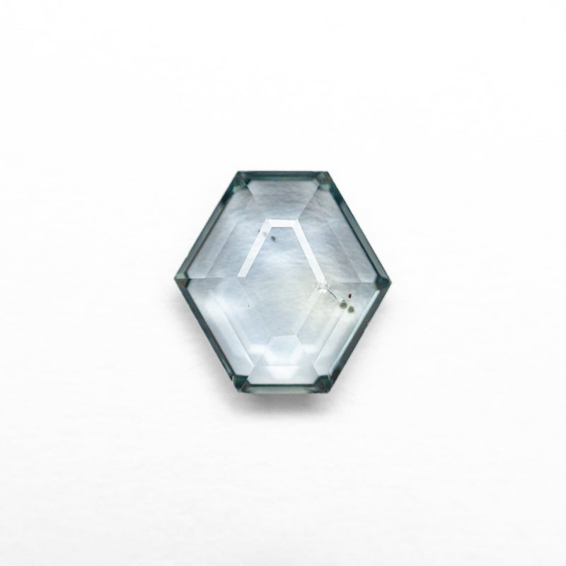 1.08ct 6.68x6.55x2.45mm Hexagon Portrait Cut Sapphire 23677-04-Staghead Designs