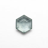 0.99ct 6.42x5.62x2.68mm Hexagon Portrait Cut Sapphire 23677-09-Staghead Designs