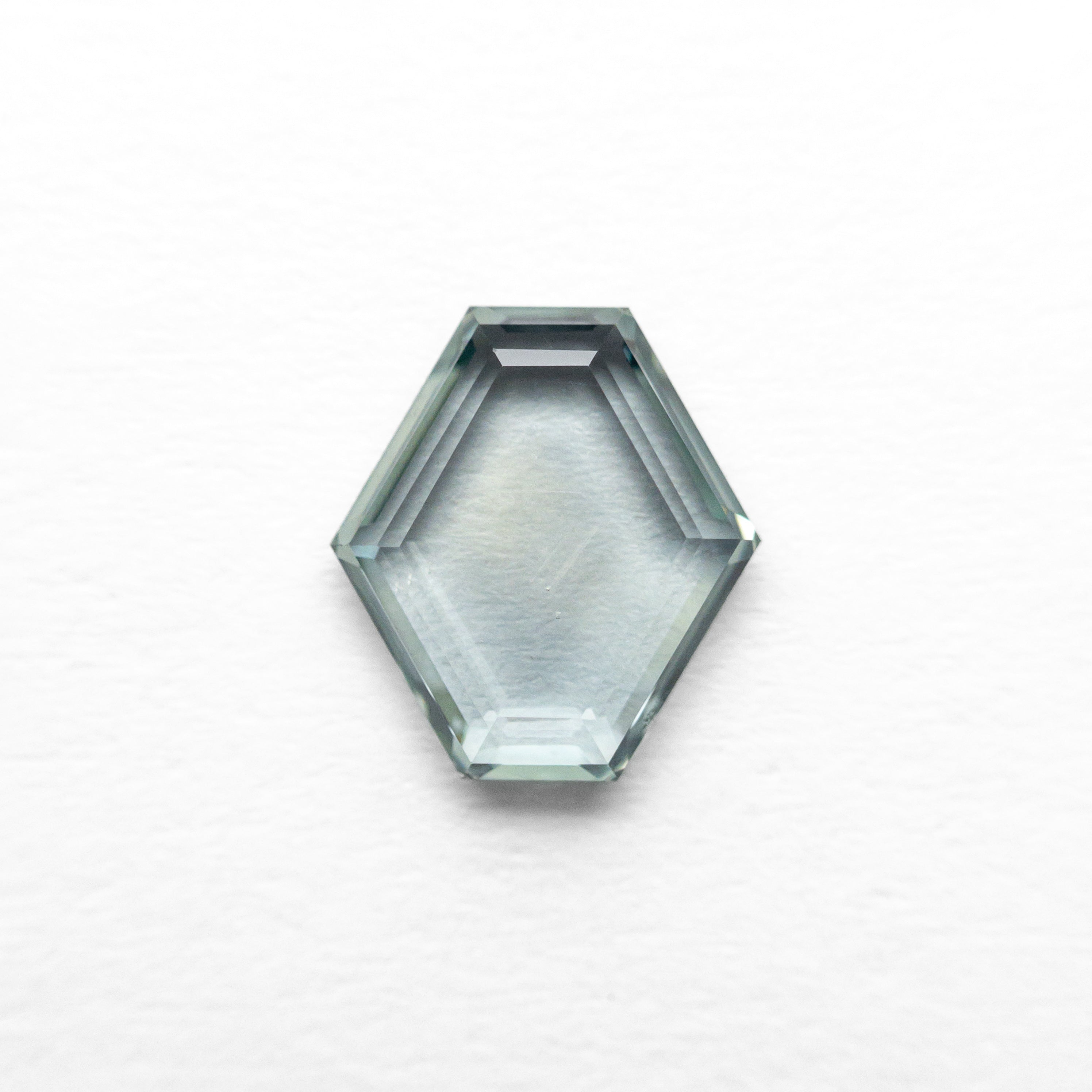 1.02ct 7.25x6.59x2.03mm Hexagon Portrait Cut Sapphire 23677-11-Staghead Designs